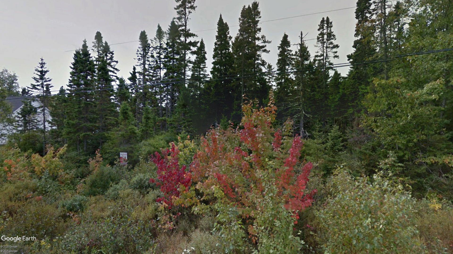 Tax Sale Lunenburg, Nova Scotia - 09320709