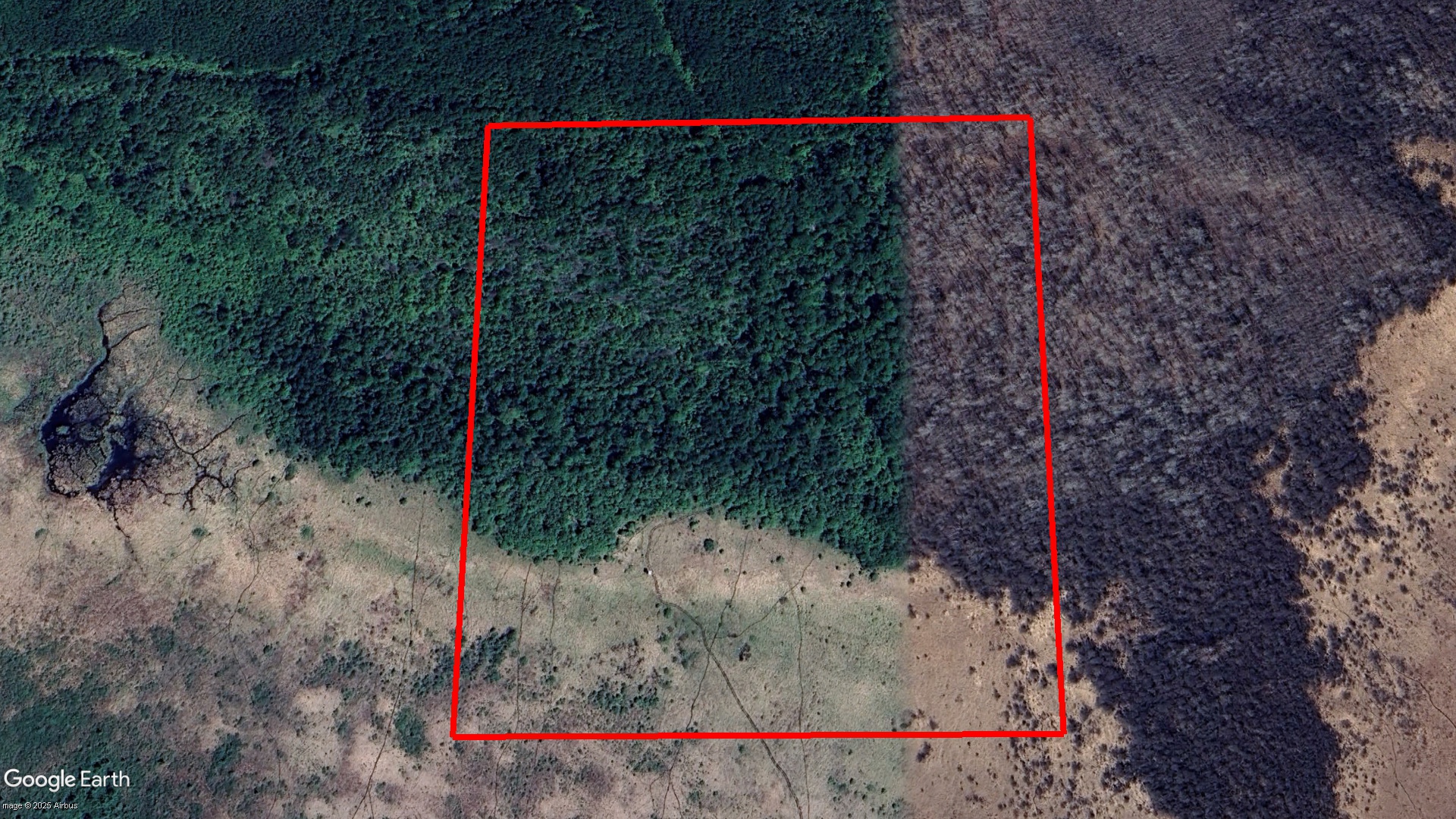 Tax Sale Dawson, Ontario - 