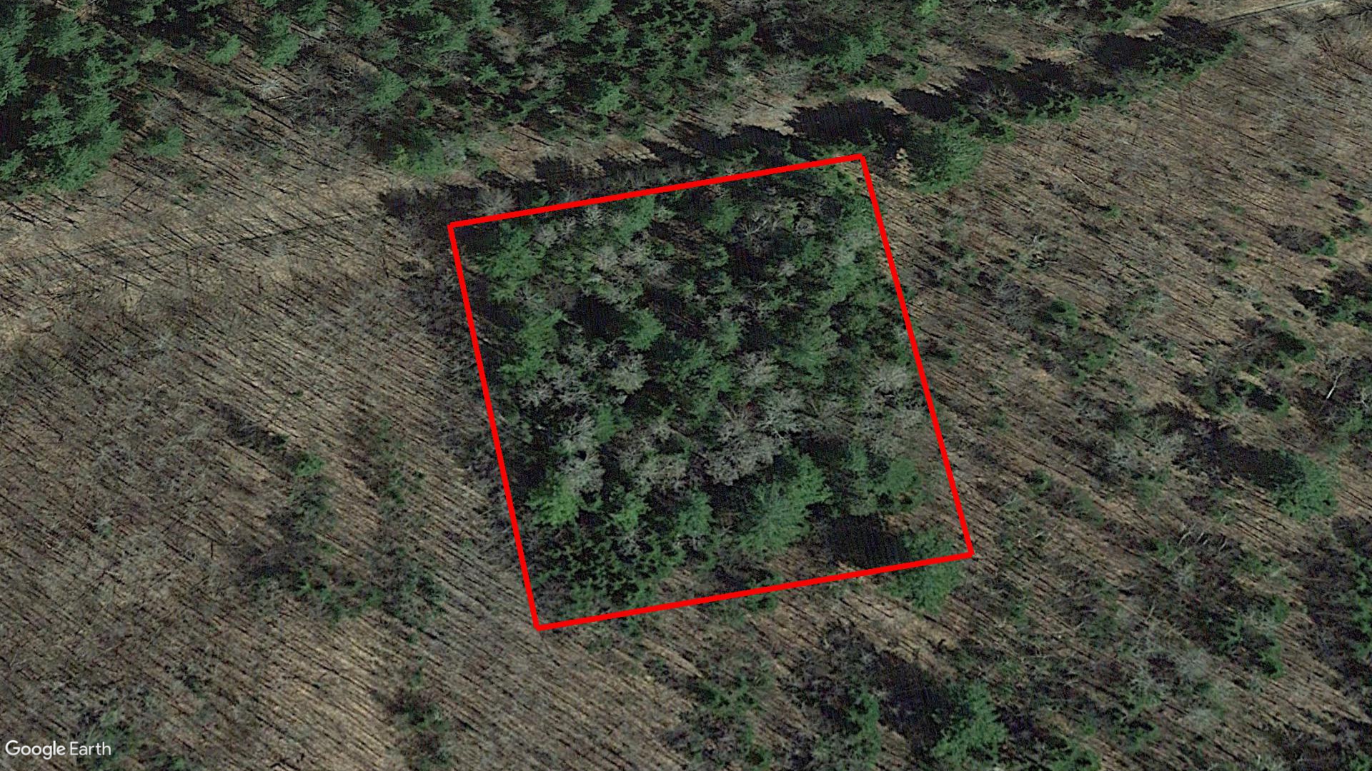 Tax Sale Carleton, New Brunswick - 00417061