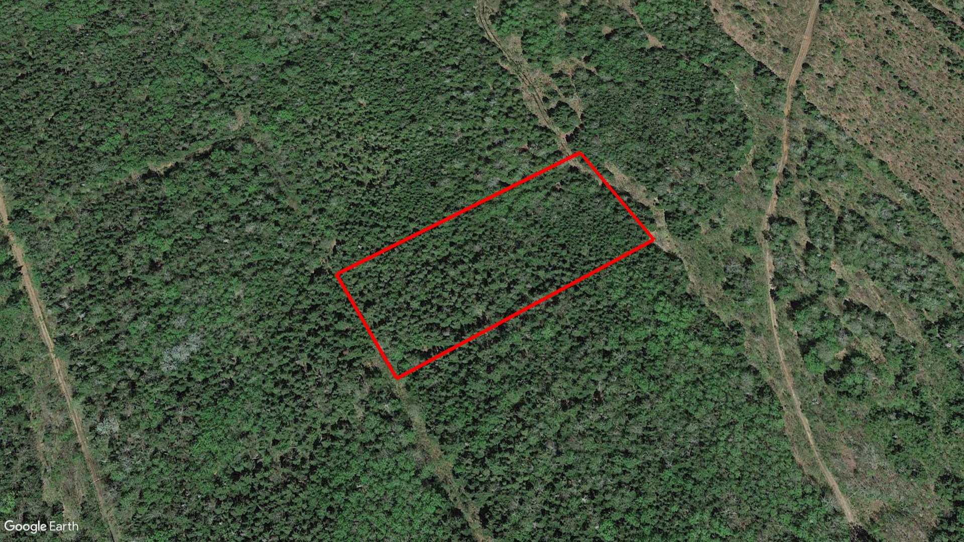 Tax Sale Moncton, New Brunswick - 02397097