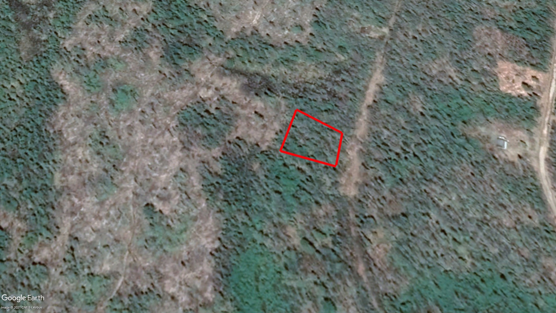 Tax Sale Chester, Nova Scotia - 02554216