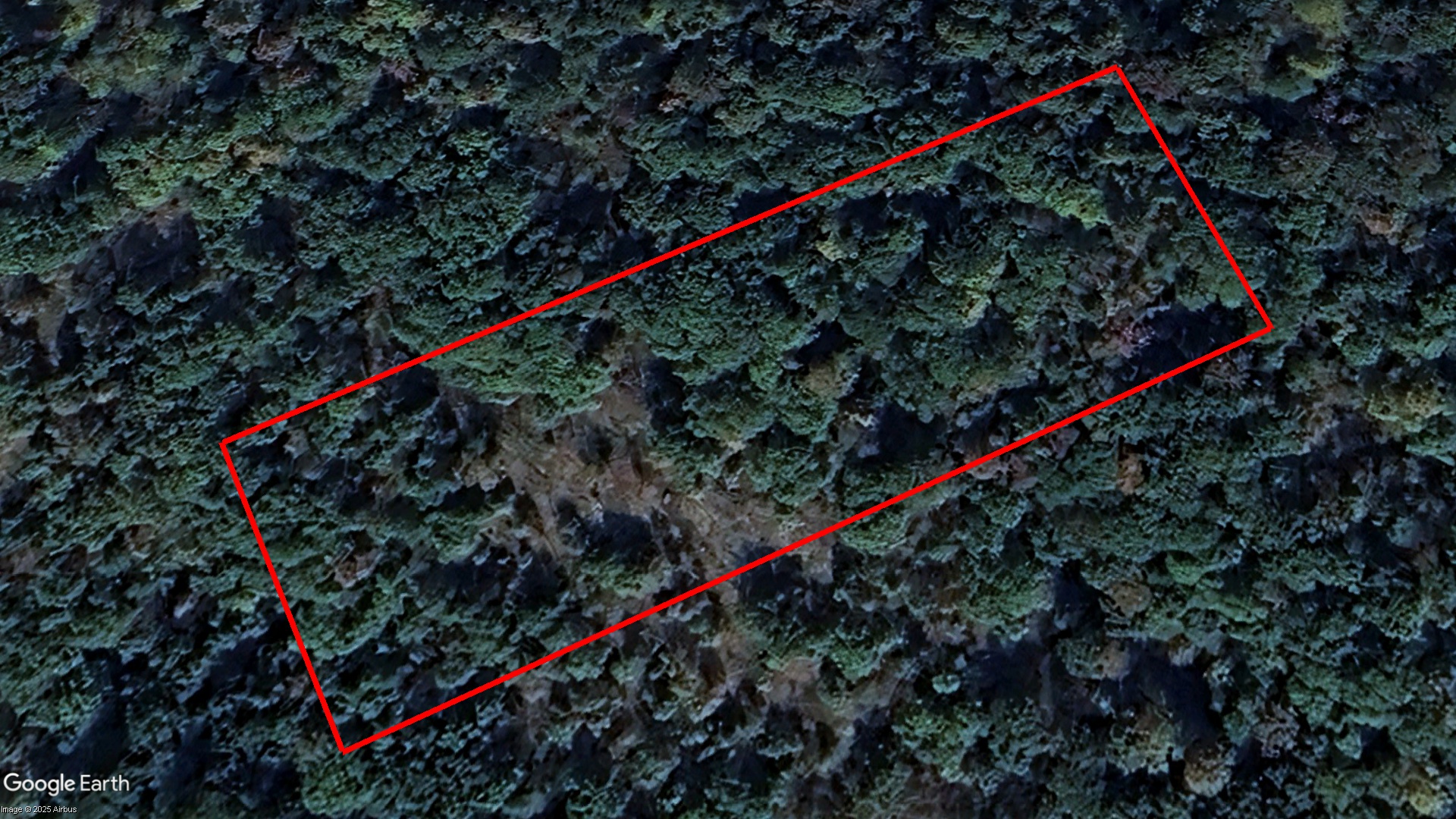 Tax Sale Muskoka Lakes, Ontario - 44 53 040 012 04802 0000