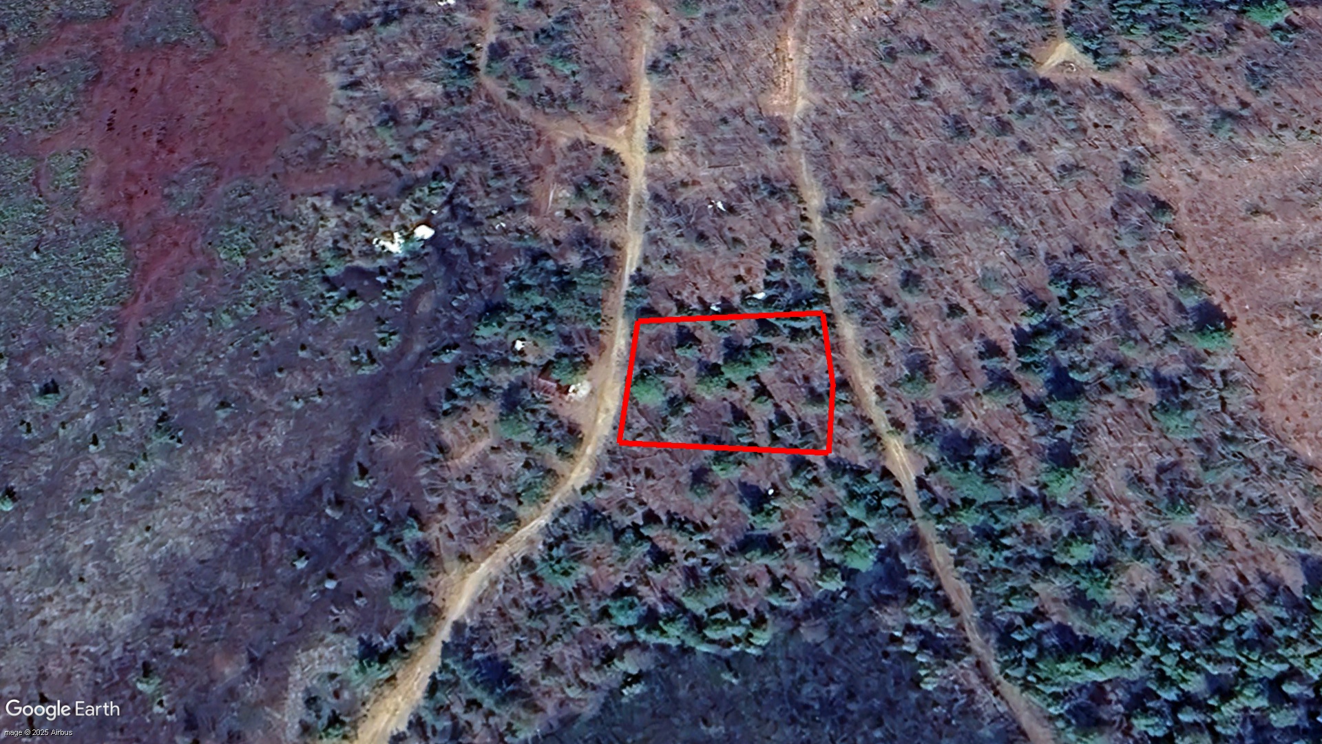 Tax Sale Gloucester, New Brunswick - 03169049