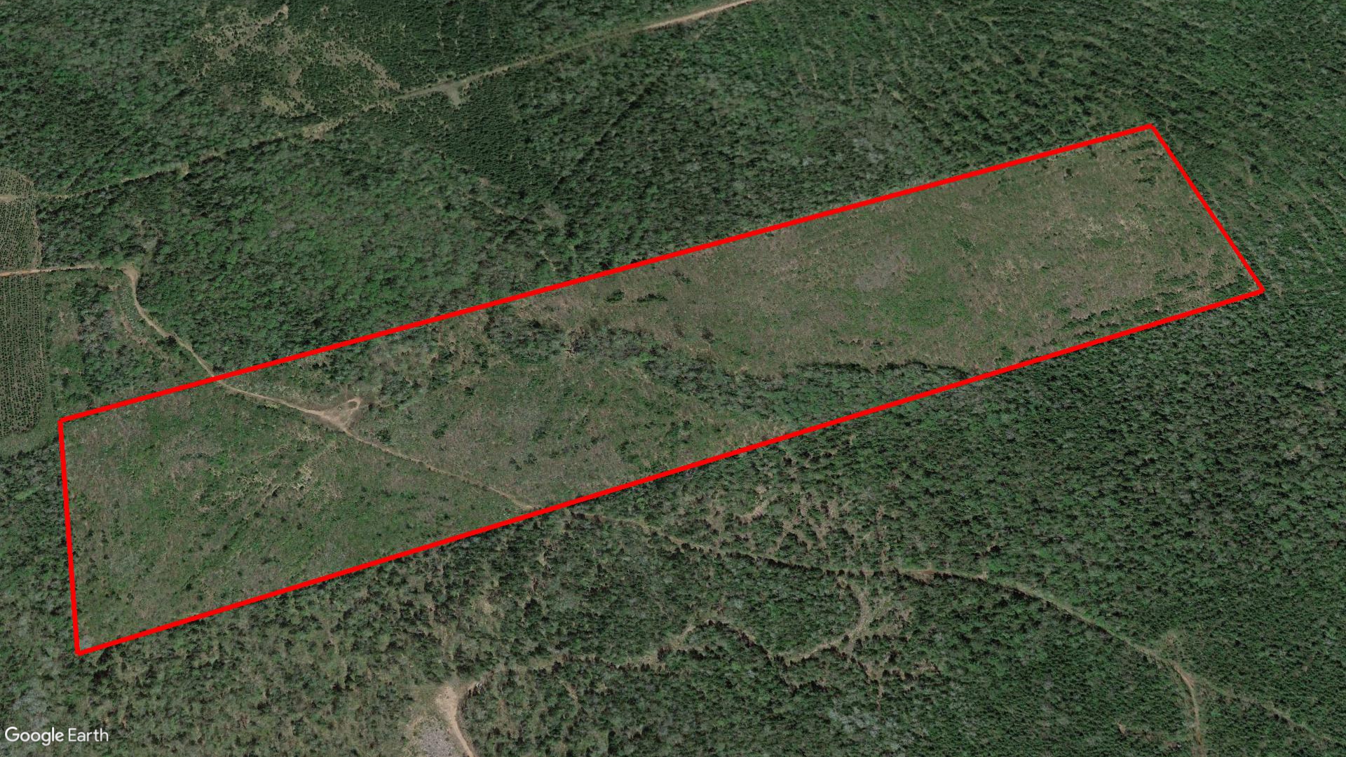 Tax Sale Albert Westmorland, New Brunswick - 02299095