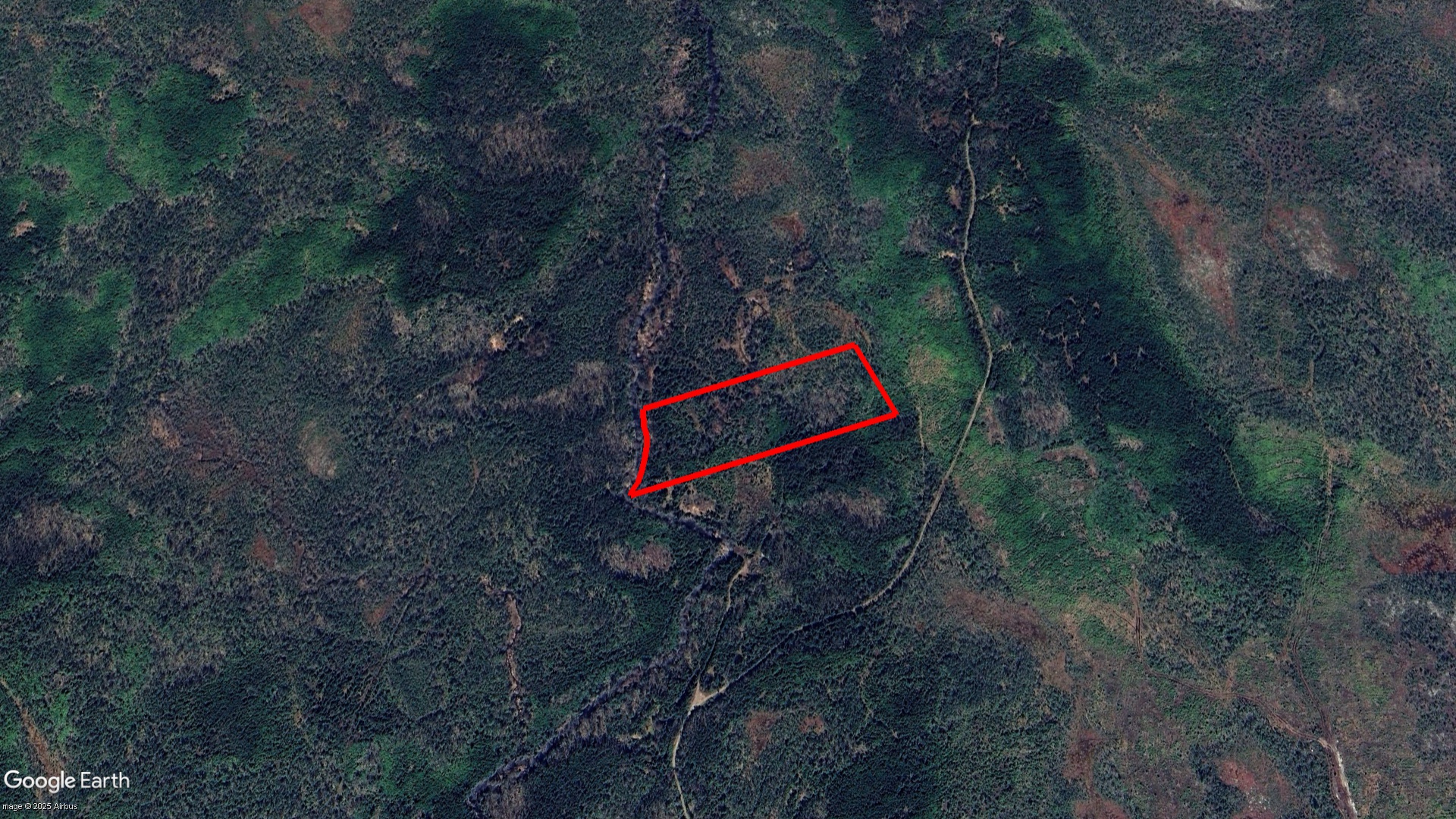 Tax Sale Halifax, Nova Scotia - 09739831