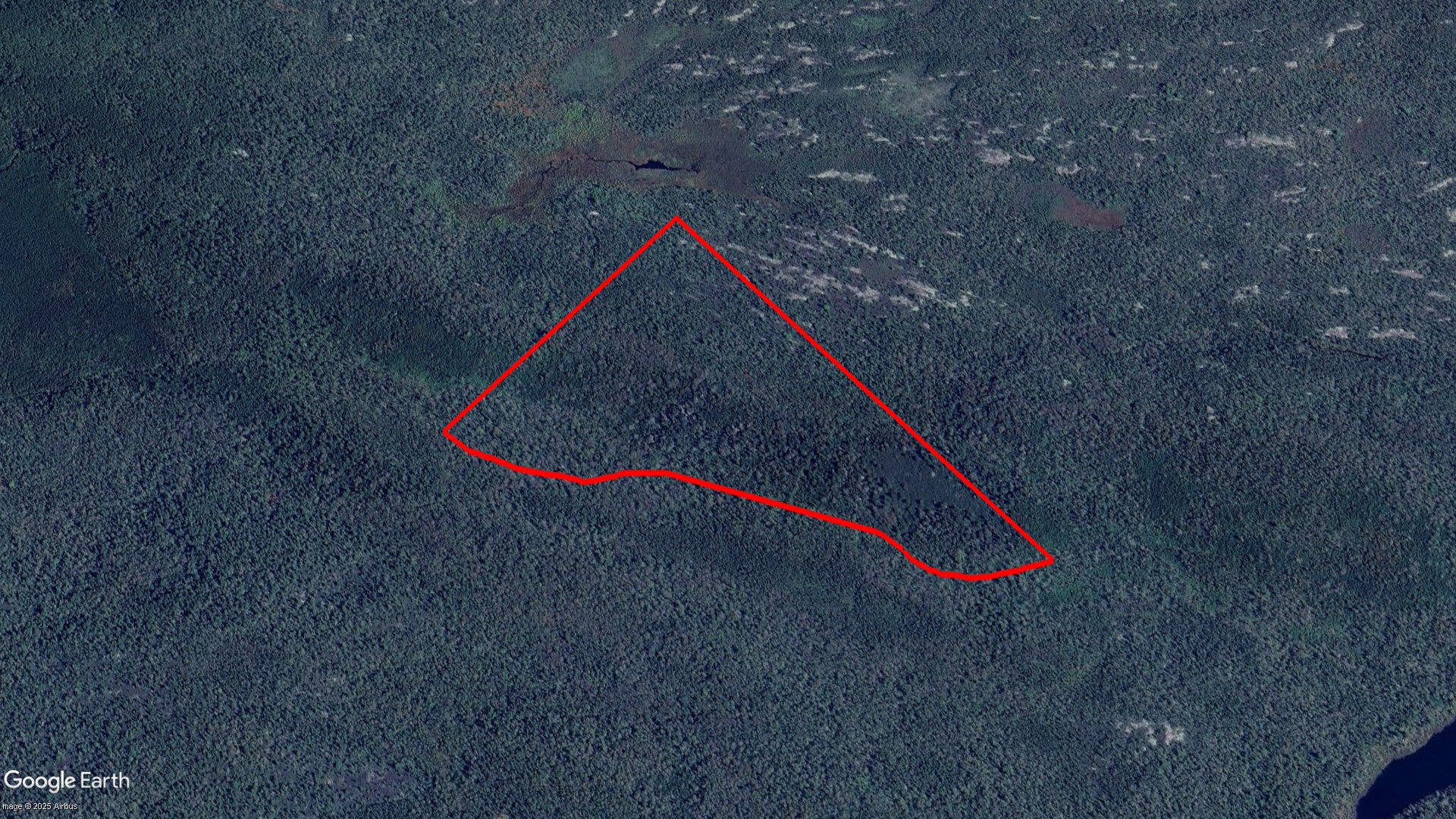 Tax Sale Halifax, Nova Scotia - 09195114