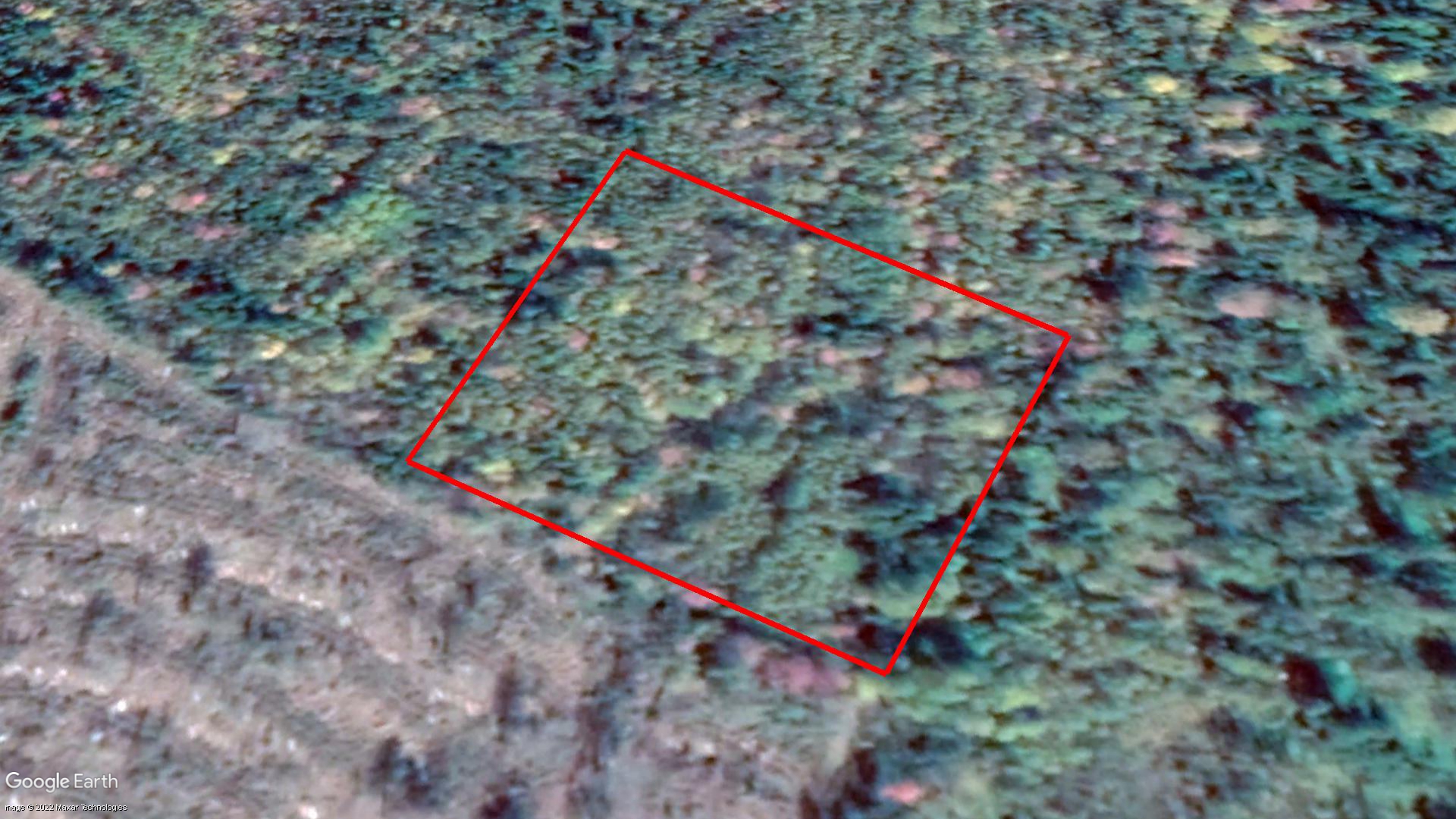 Tax Sale Kings, New Brunswick - 03969944