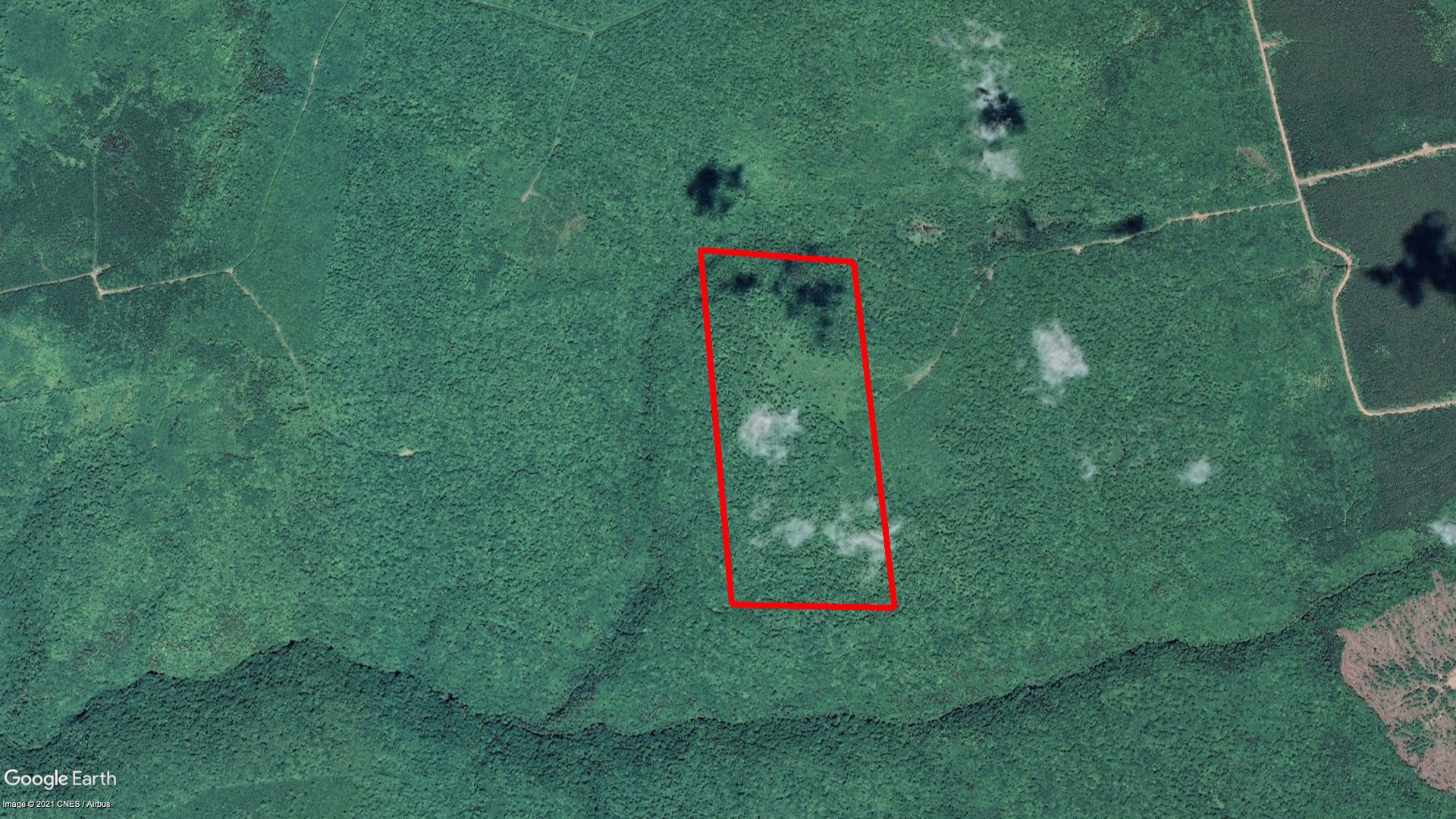 Tax Sale Inverness, Nova Scotia - 02354101 