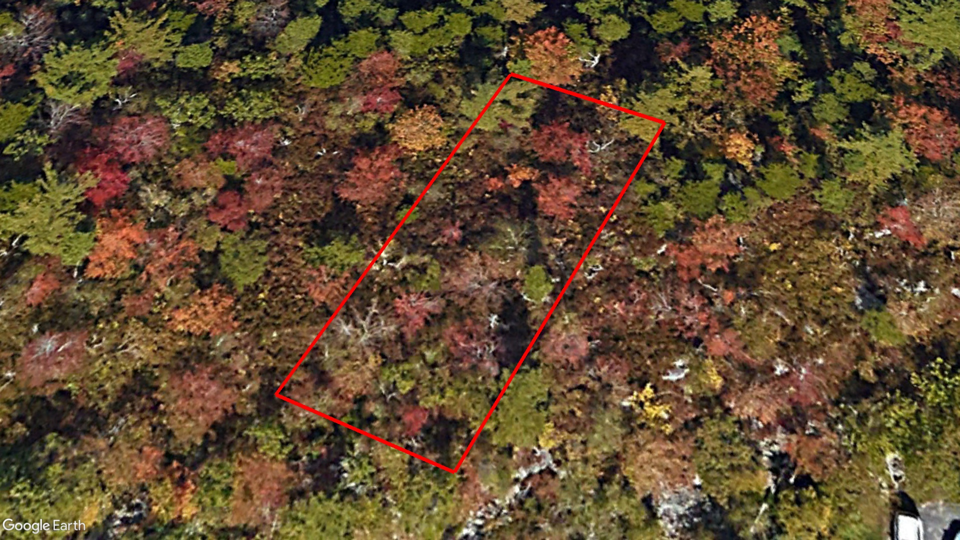 Tax Sale Halifax, Nova Scotia - 10774667