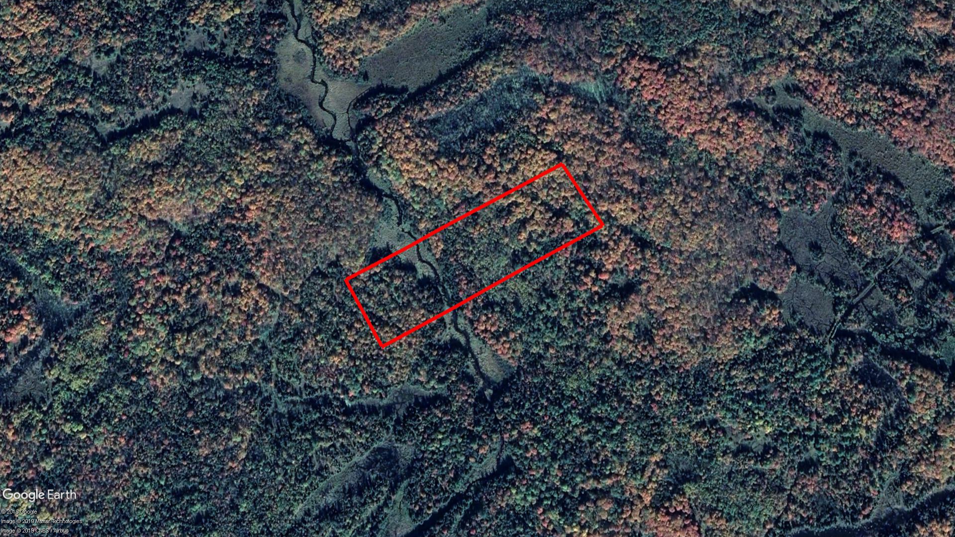 Tax Sale Tudor and Cashel, Ontario - 12 48 000 015 15800