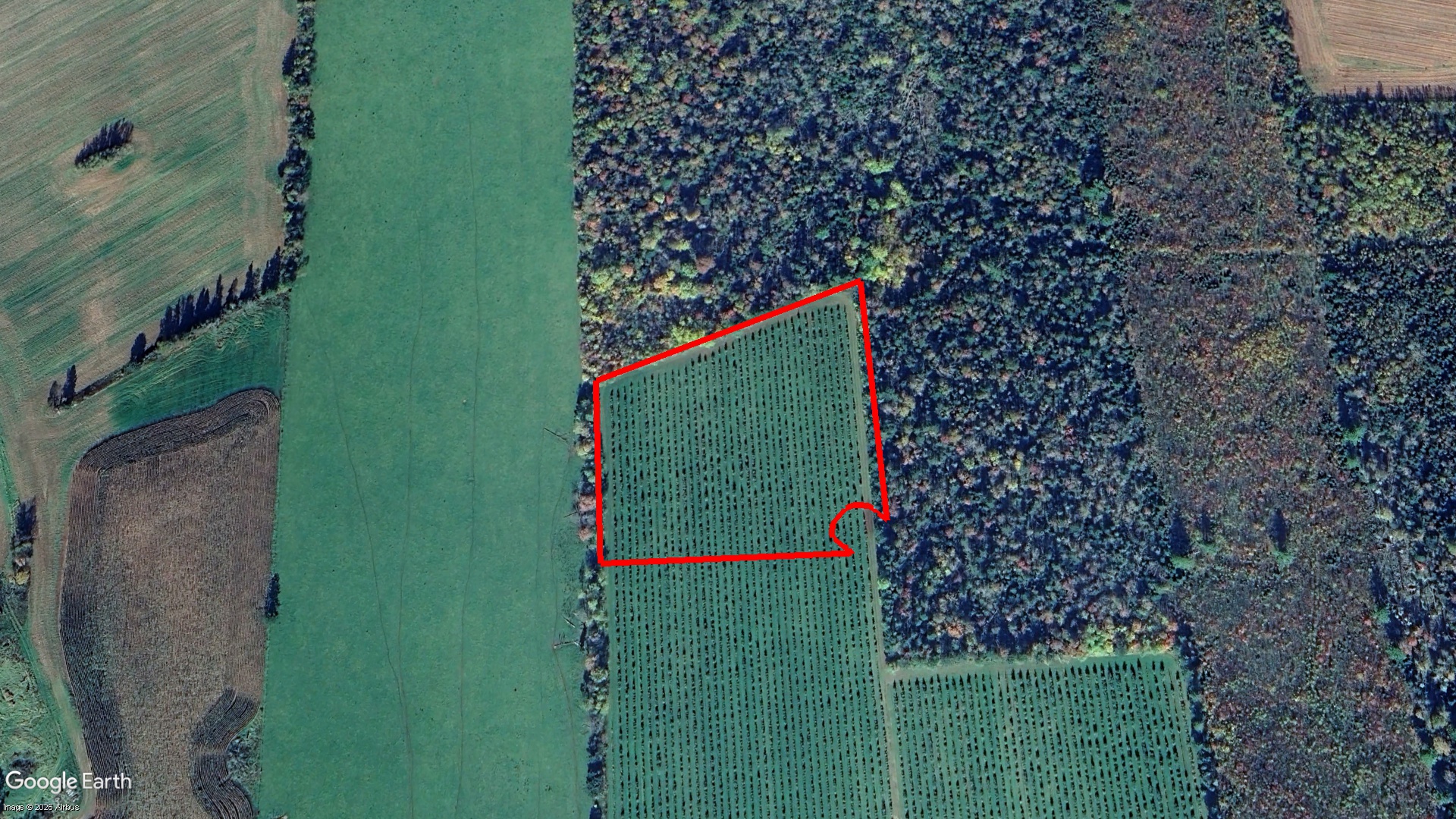 Tax Sale Charlottetown, Prince Edward Island - 