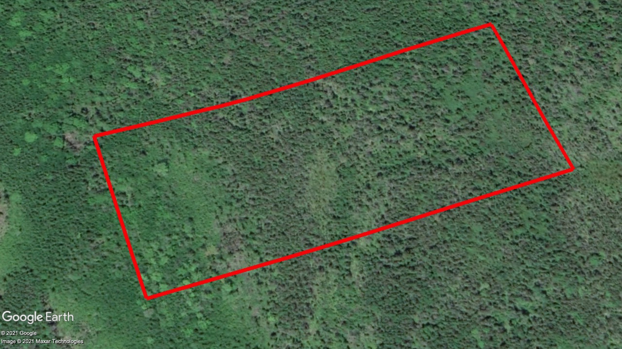 Tax Sale St. Mary's, Nova Scotia - 1527355