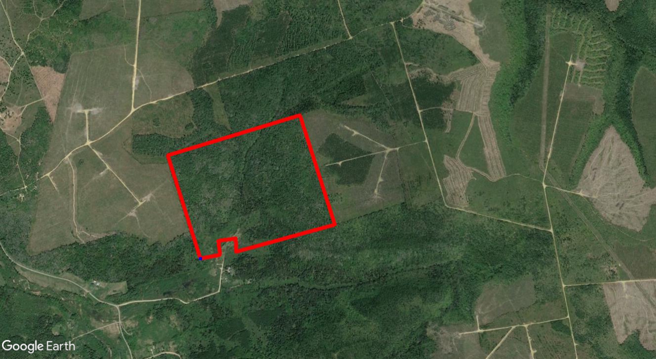 Tax Sale Moncton, New Brunswick - 01725831