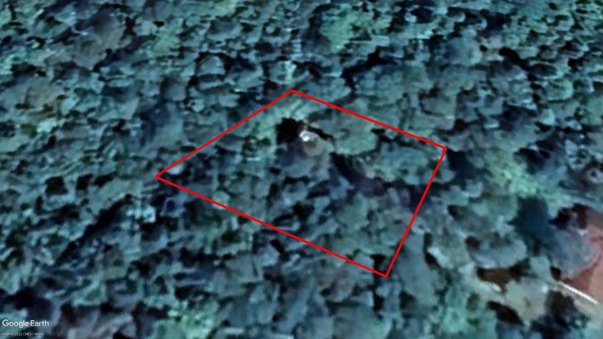 Tax Sale York/Sunbury, New Brunswick - 00586161