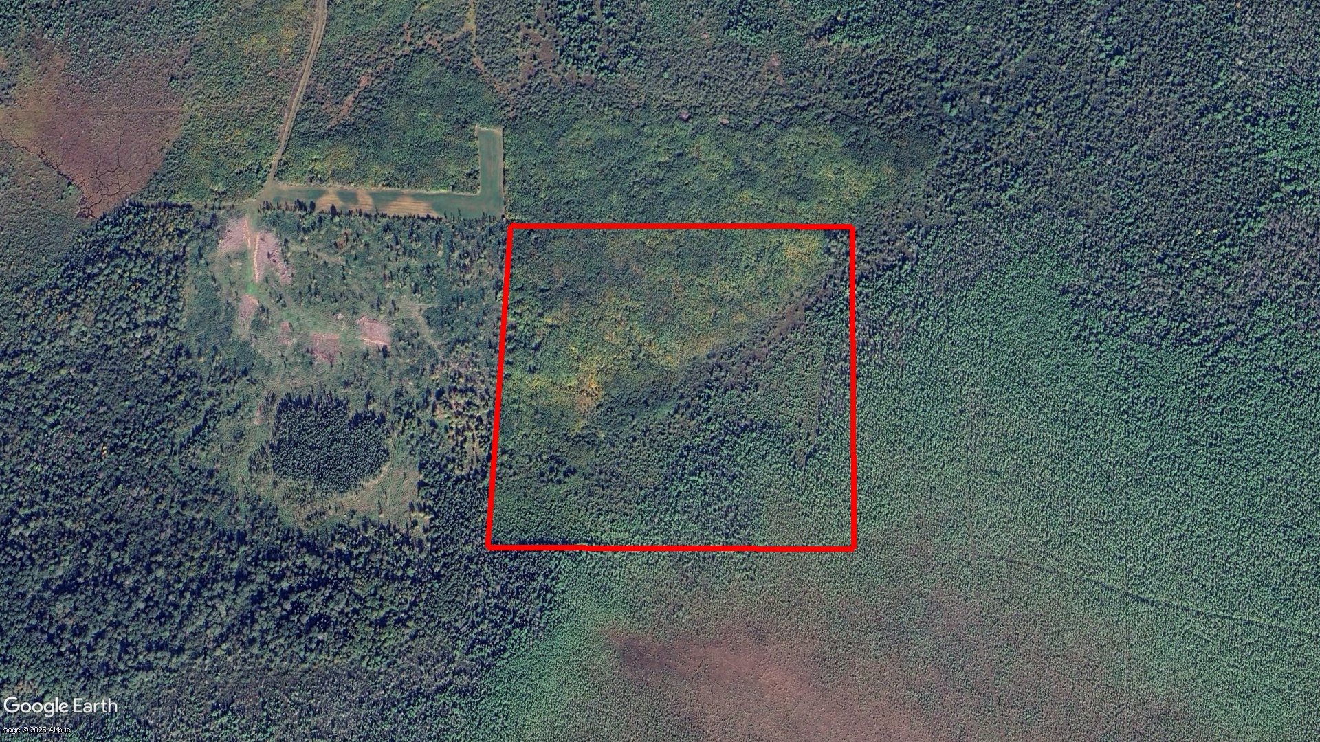 Tax Sale Dawson, Ontario - 