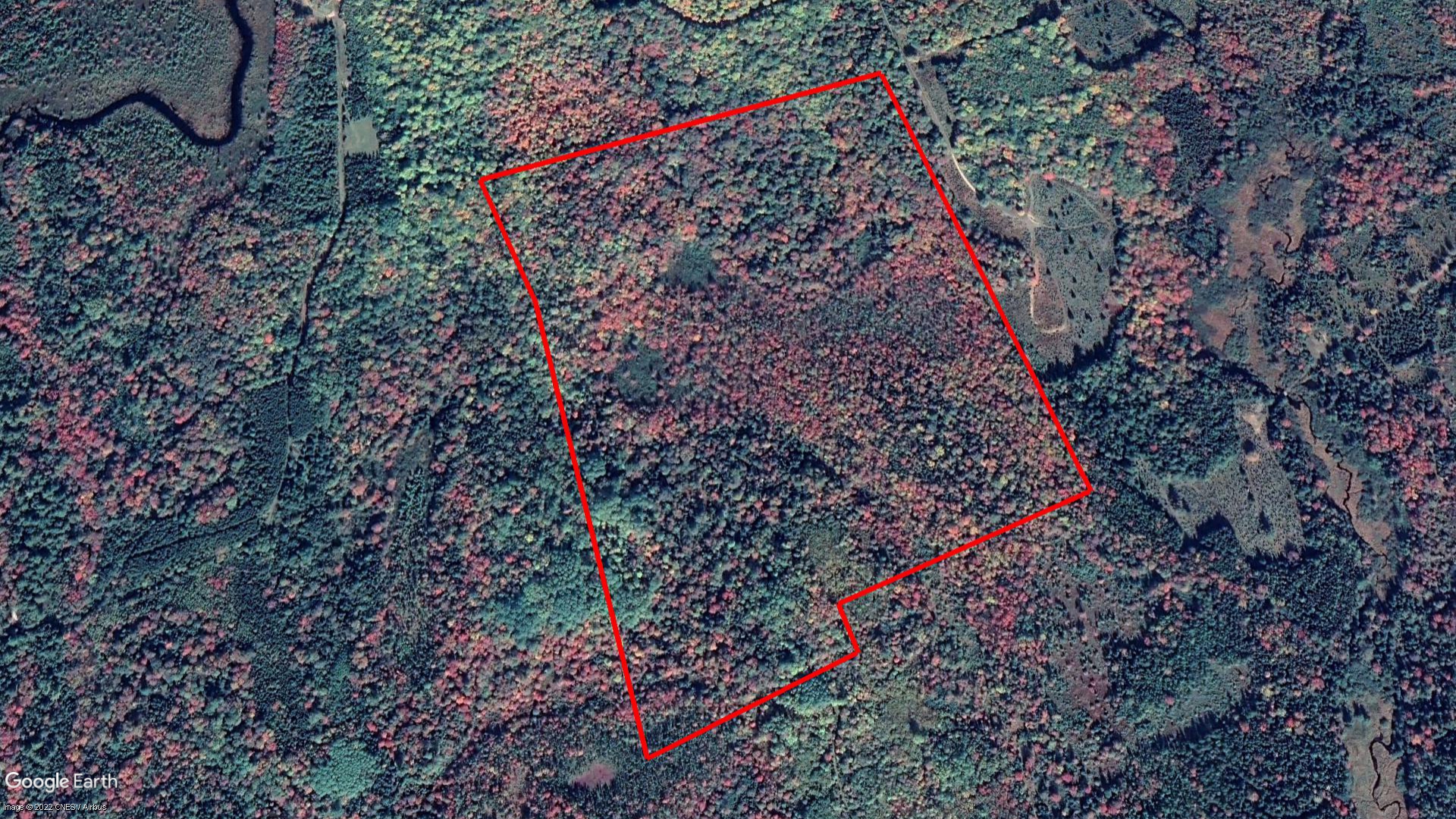 Tax Sale Lunenburg, Nova Scotia - 09719482