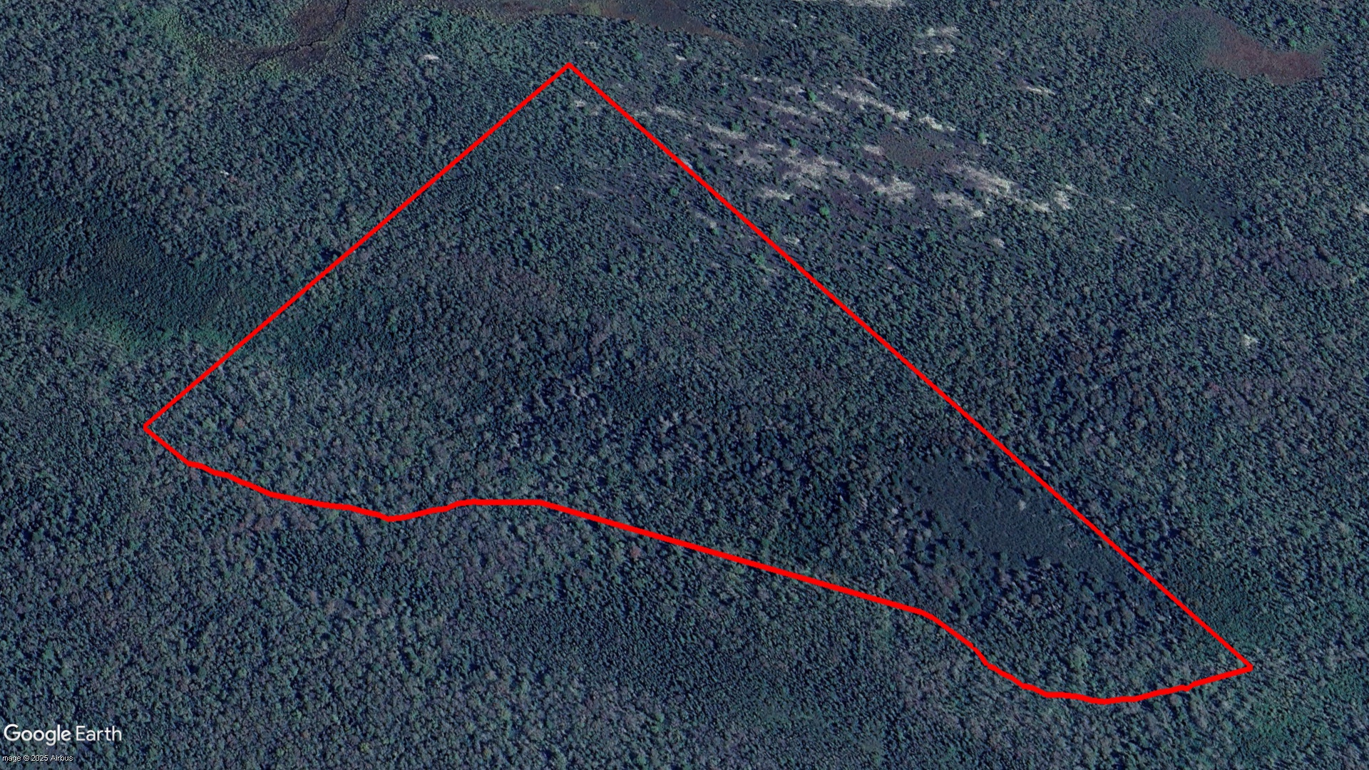 Tax Sale Halifax, Nova Scotia - 09195114