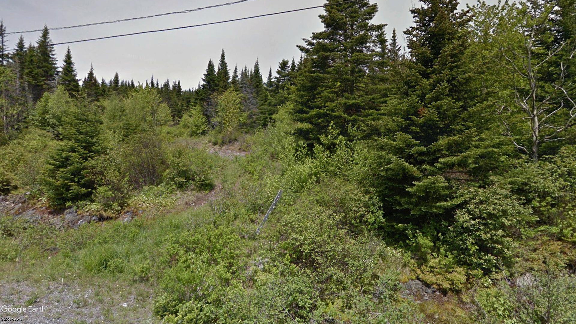 Tax Sale Saint John, New Brunswick - 01606639