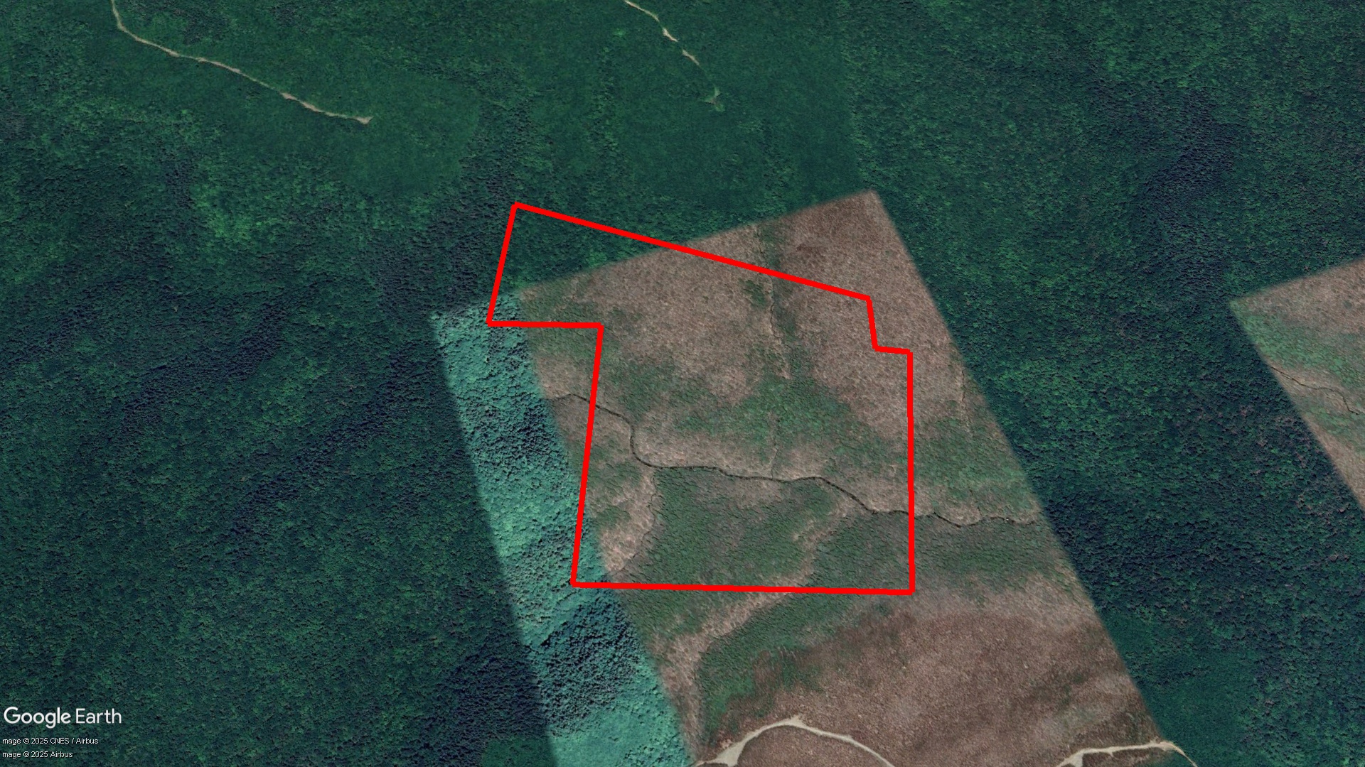 Tax Sale Inverness, Nova Scotia - 10478219