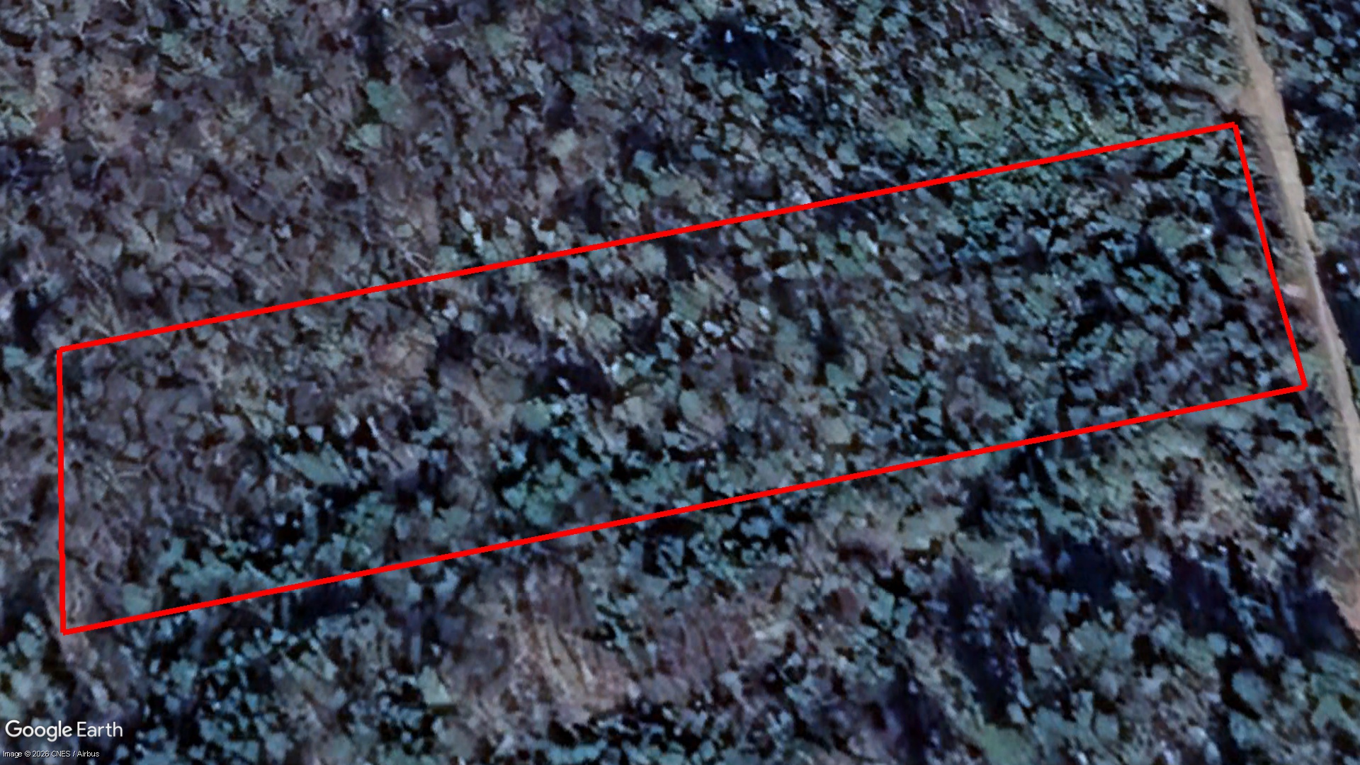 Tax Sale Argyle, Nova Scotia - 01580698