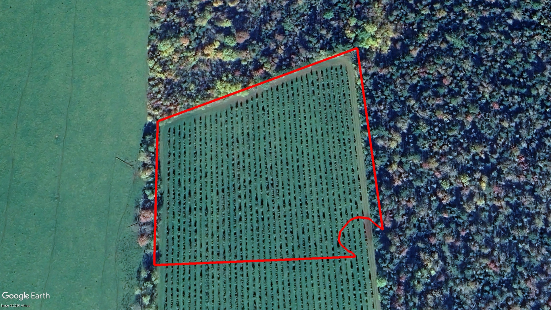 Tax Sale Charlottetown, Prince Edward Island - 