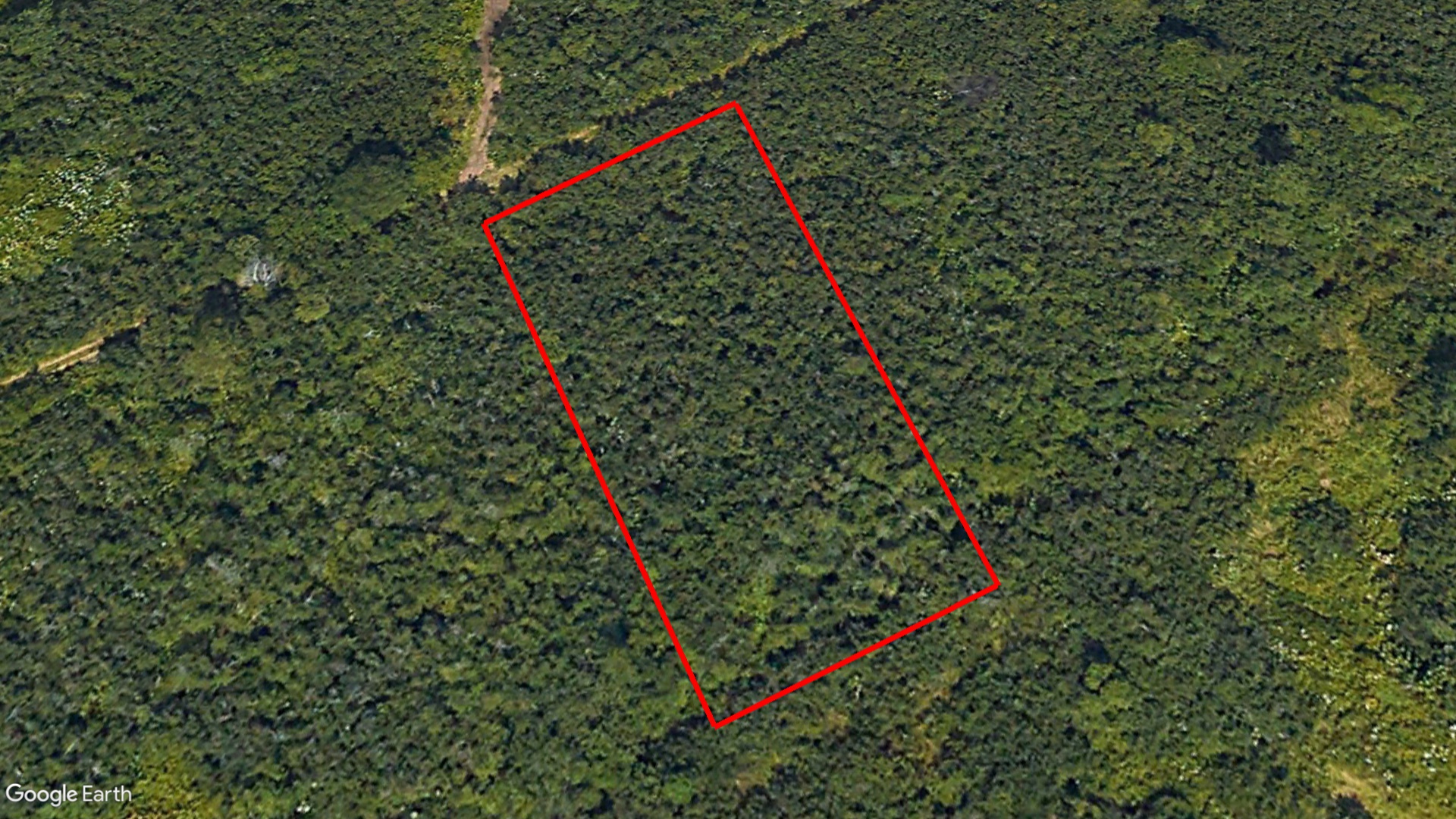 Tax Sale Saint John, New Brunswick - 01578527