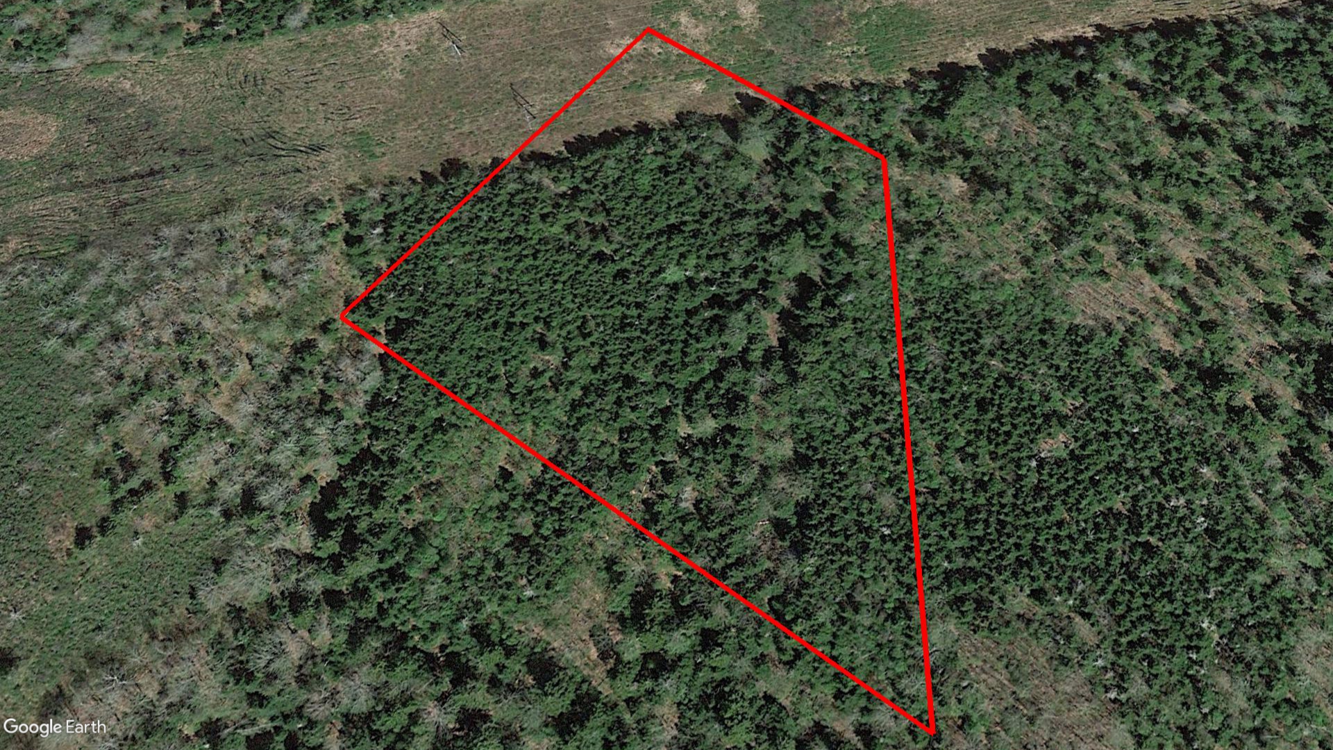 Tax Sale Moncton, New Brunswick - 04589797