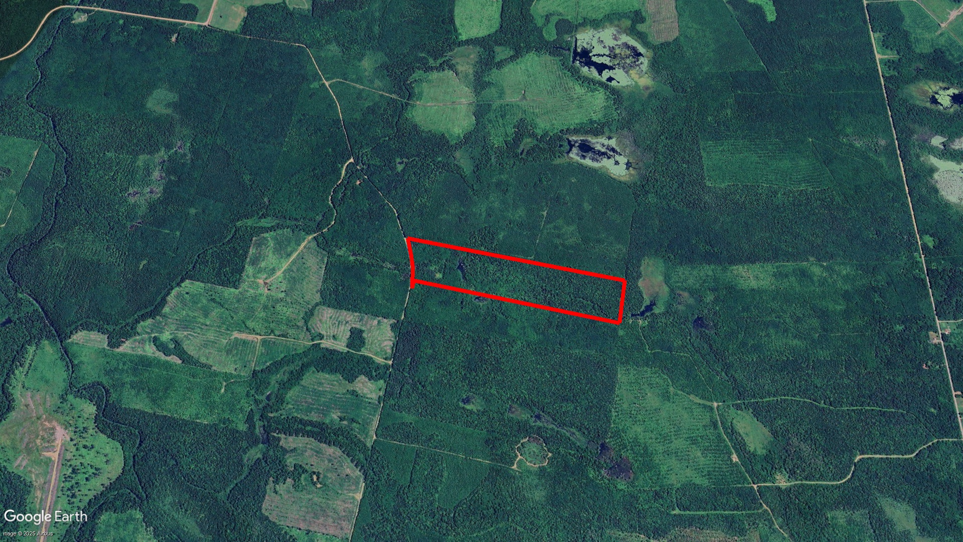 Tax Sale Kent, New Brunswick - 02474572