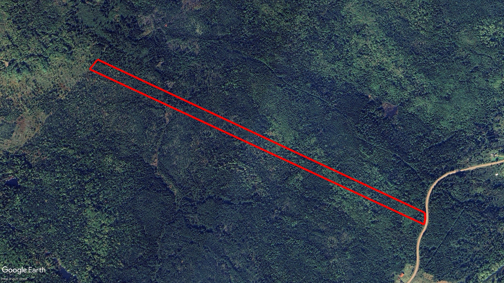 Coady Road, Margaree