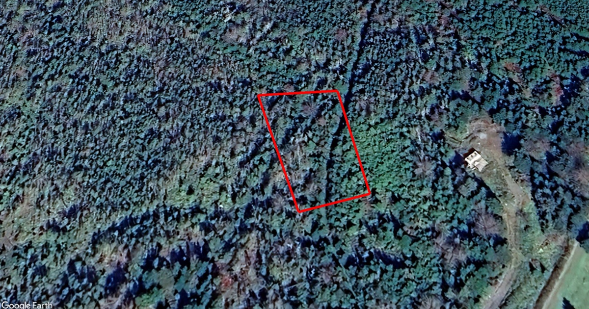 Tax Sale in Halifax, Nova Scotia highway 7 pleasant harbour Tax