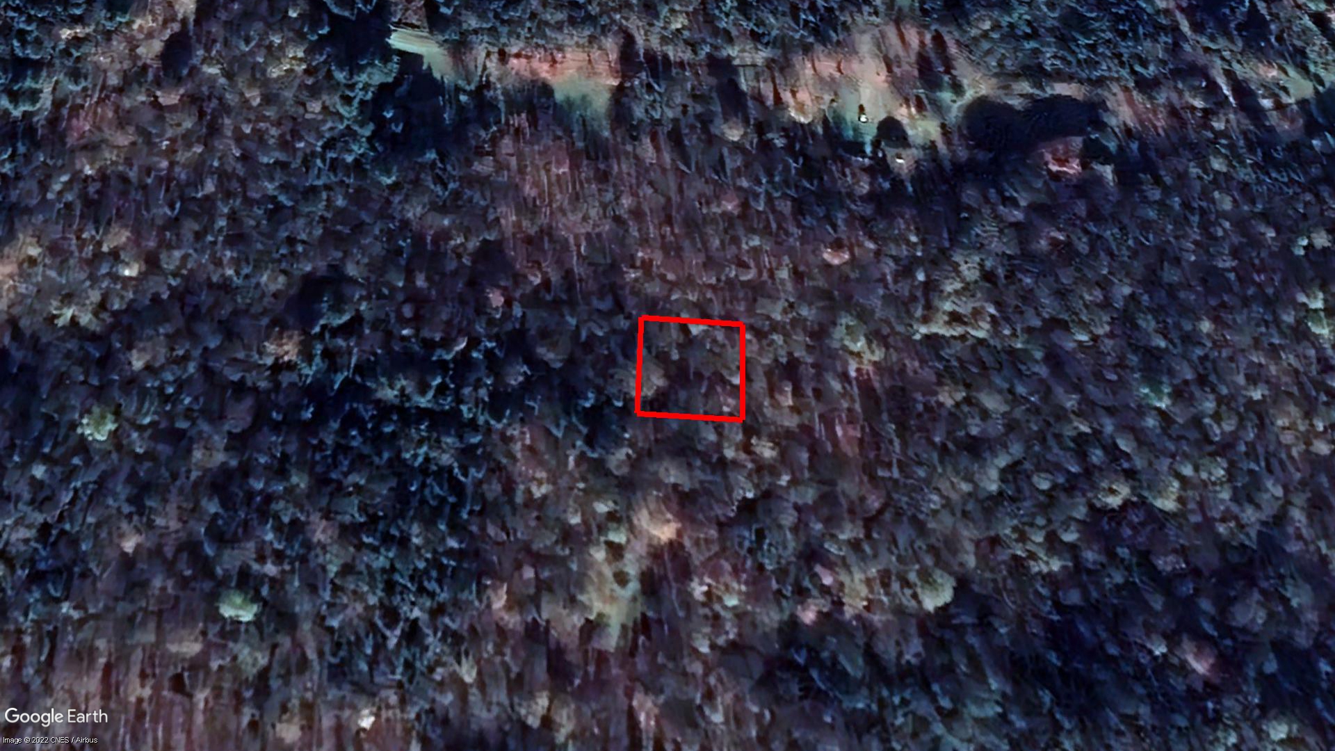 Tax Sale Des Laurentides, Quebec - 1110-99-4810