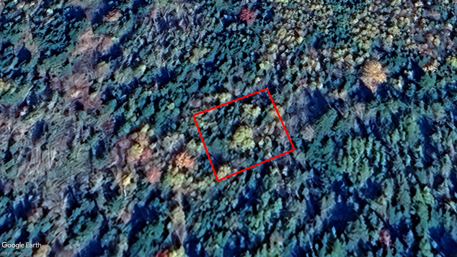 Tax Sale Halifax, Nova Scotia - 01502336