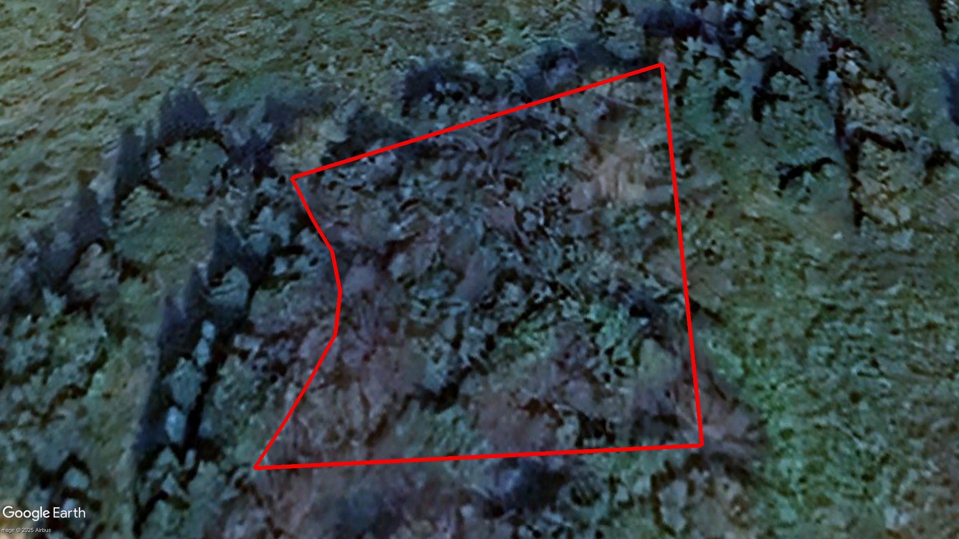 Tax Sale Cape Breton, Nova Scotia - 10301181