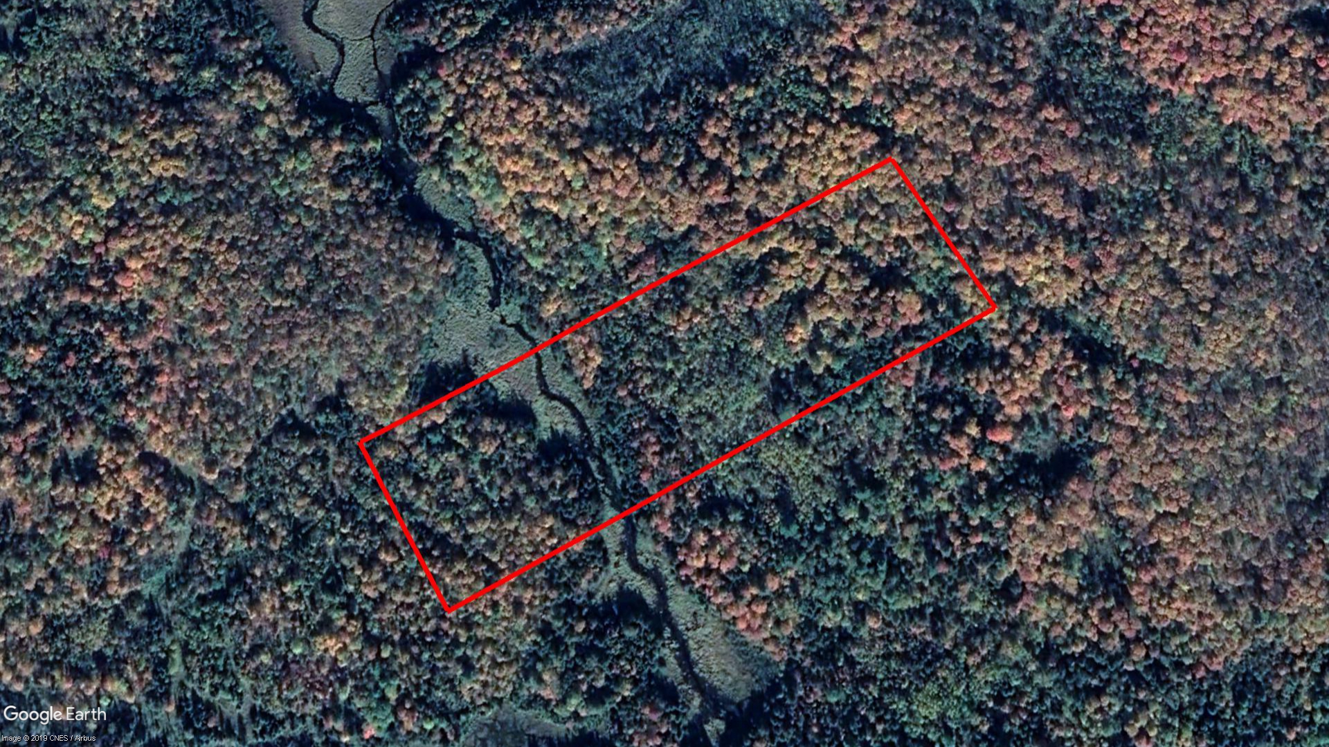 Tax Sale Tudor and Cashel, Ontario - 12 48 000 015 15800