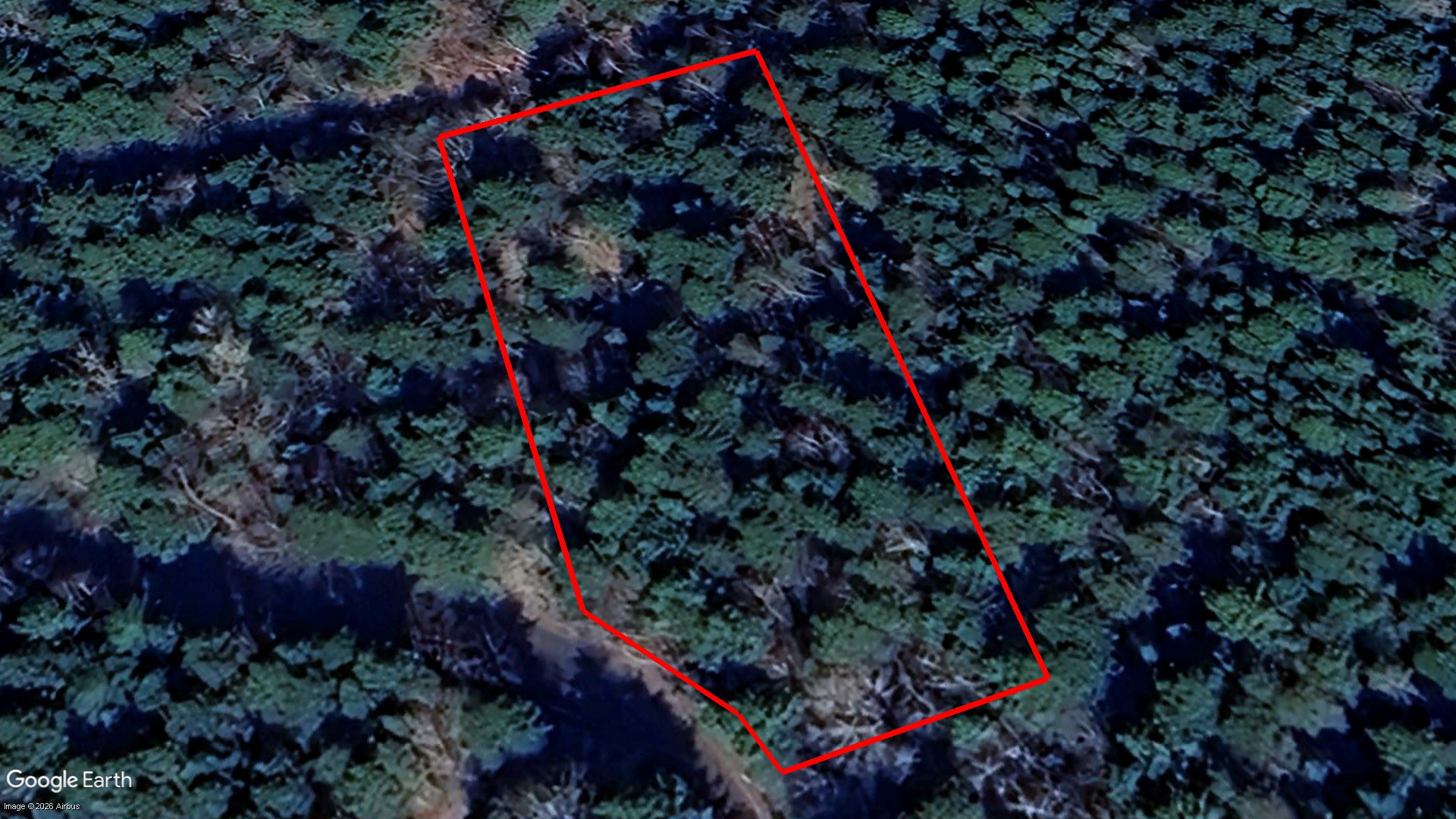 Tax Sale Queens, Nova Scotia - 02305542