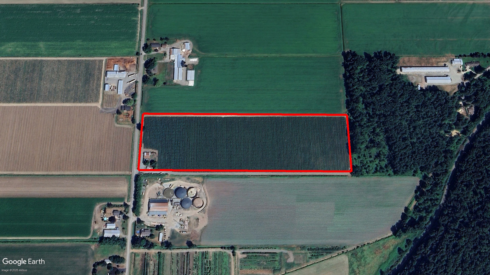 Tax Sale Abbotsford, British Columbia - 9134081604