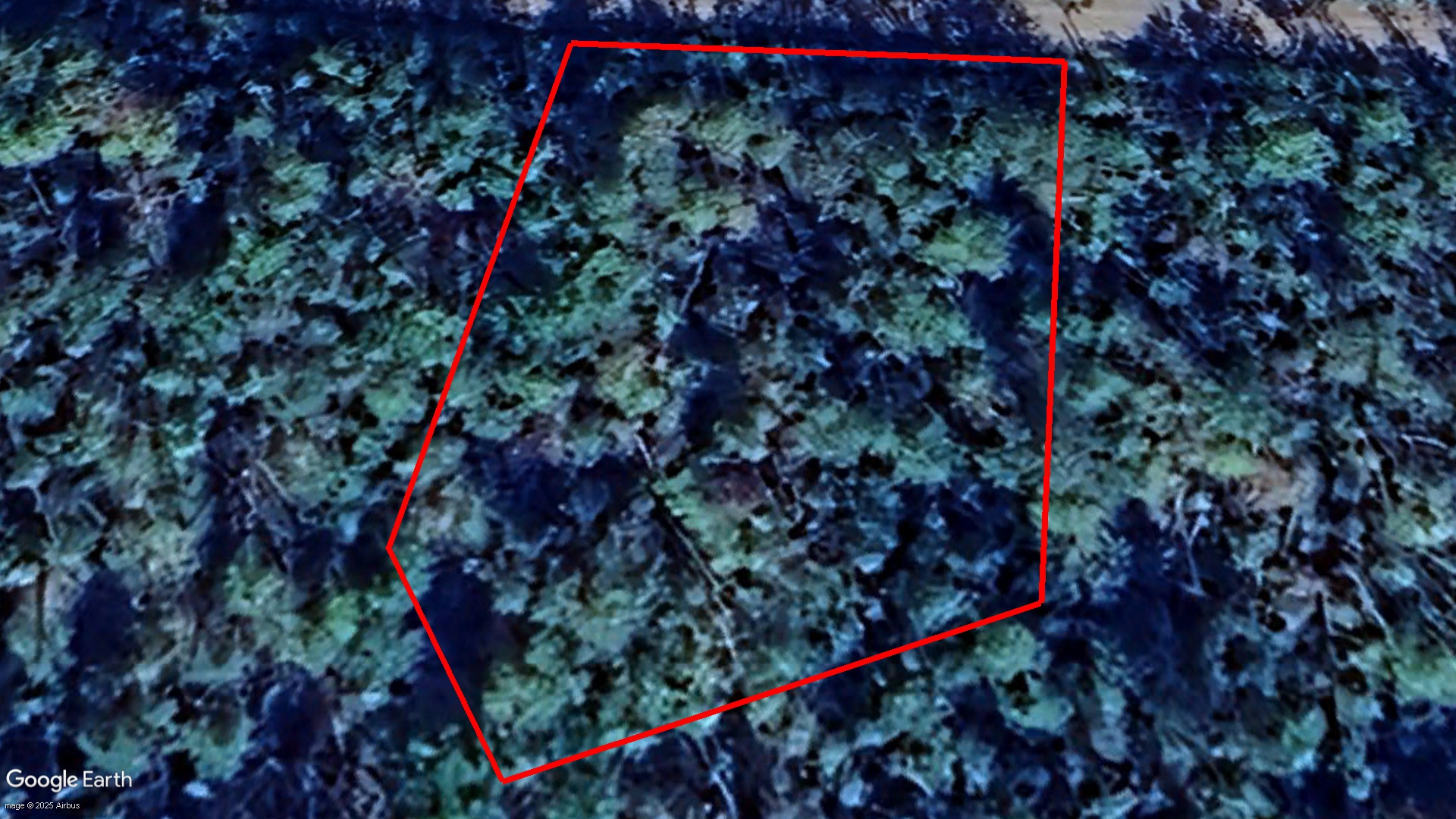 Tax Sale Cumberland, Nova Scotia - 07458185