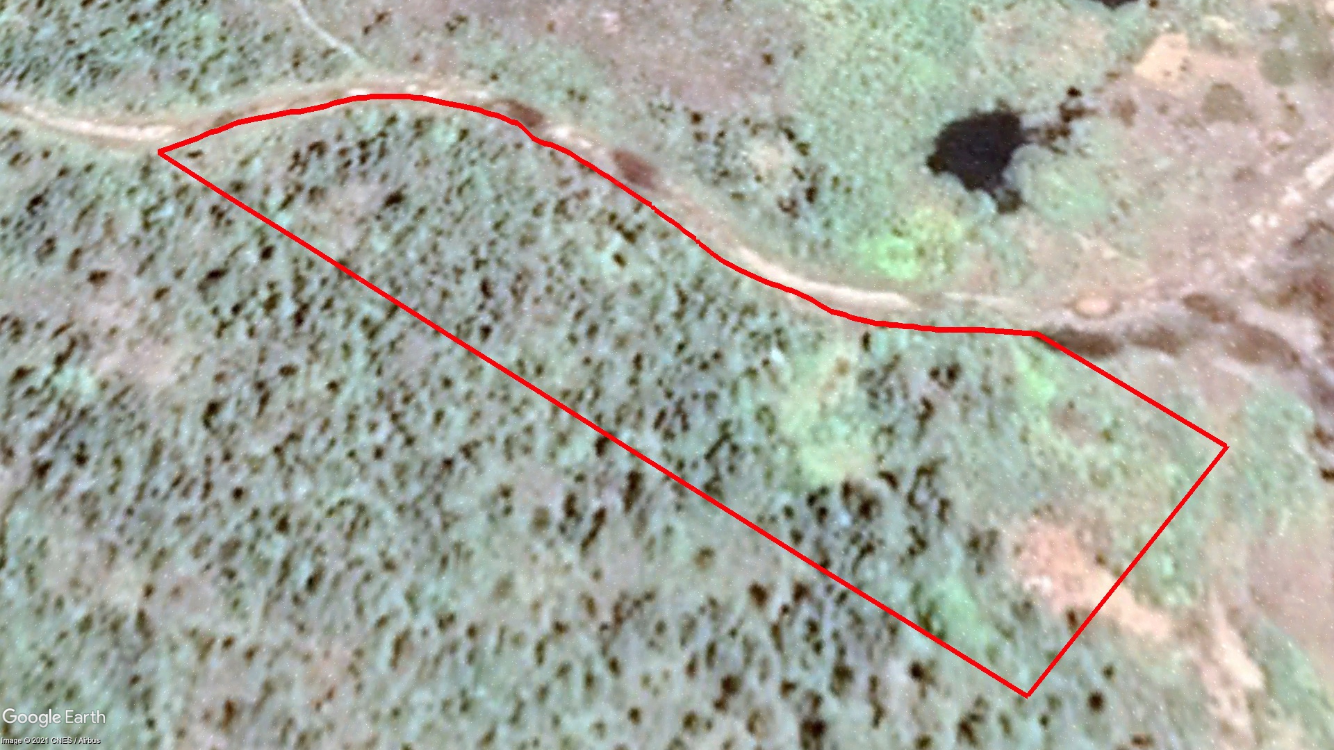 Tax Sale Digby, Nova Scotia - 10699371