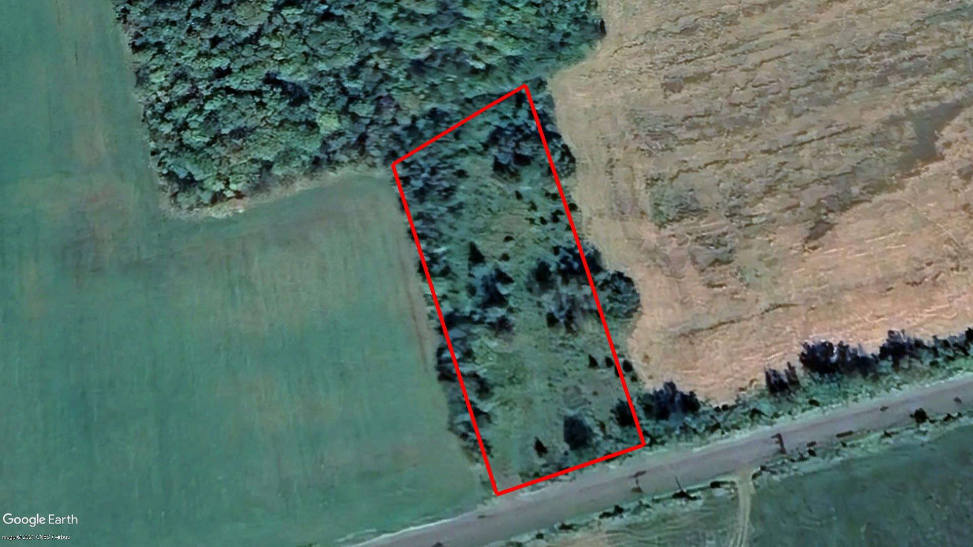 Tax Sale Fredericton, New Brunswick - 03929897