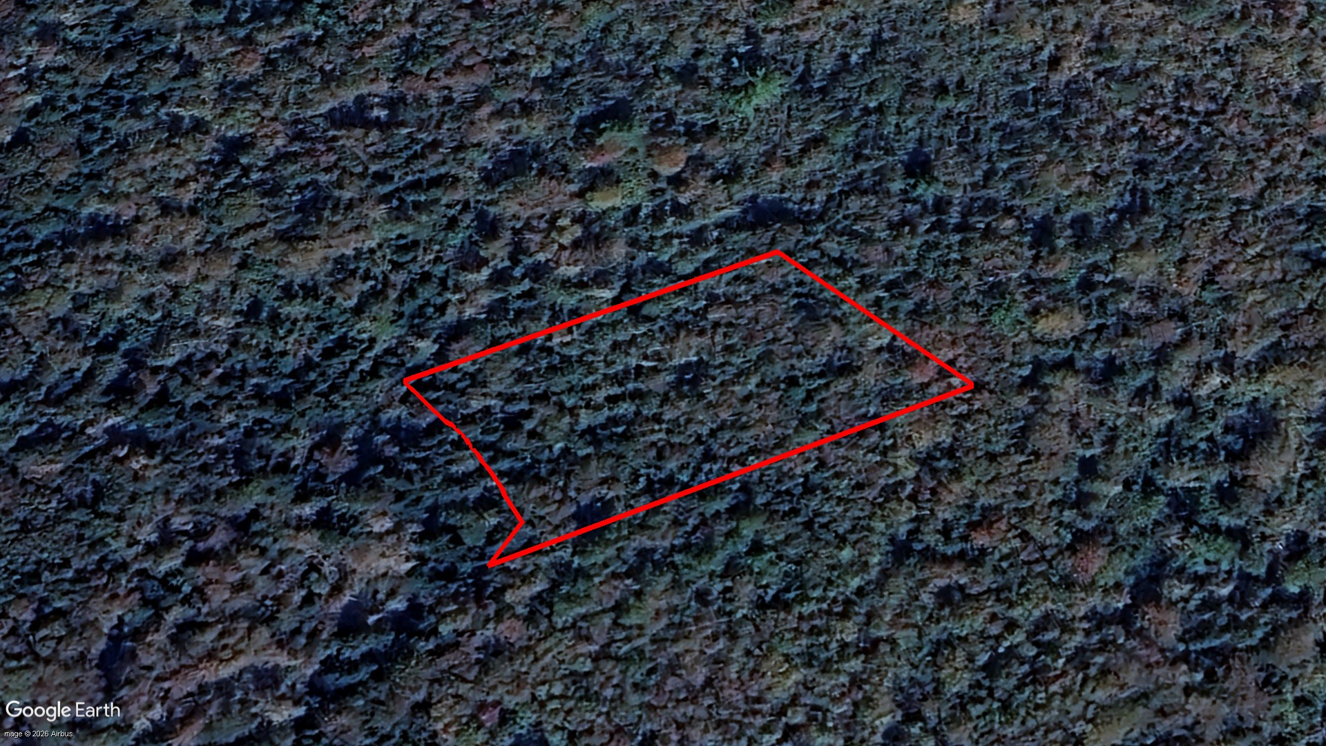 Tax Sale Shelburne, Nova Scotia - 03640205