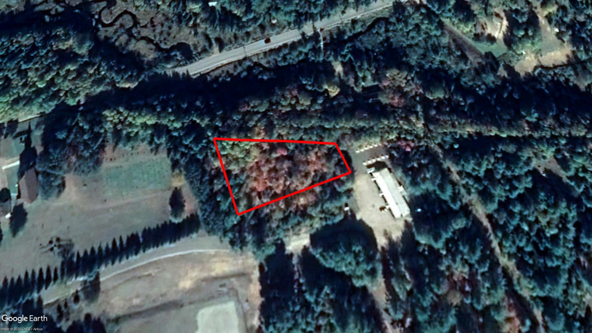 Tax Sale Kearney, Ontario - 49 18 010 001 11300