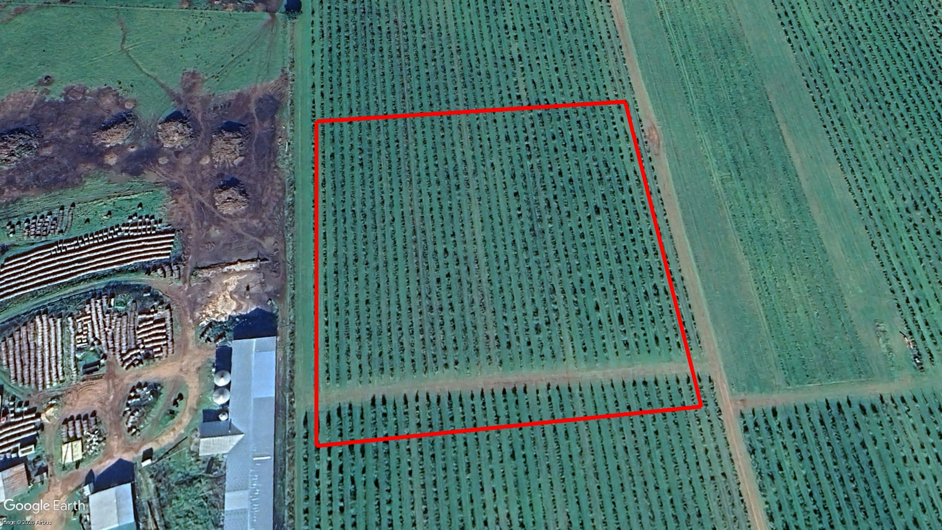 Tax Sale Charlottetown, Prince Edward Island - 