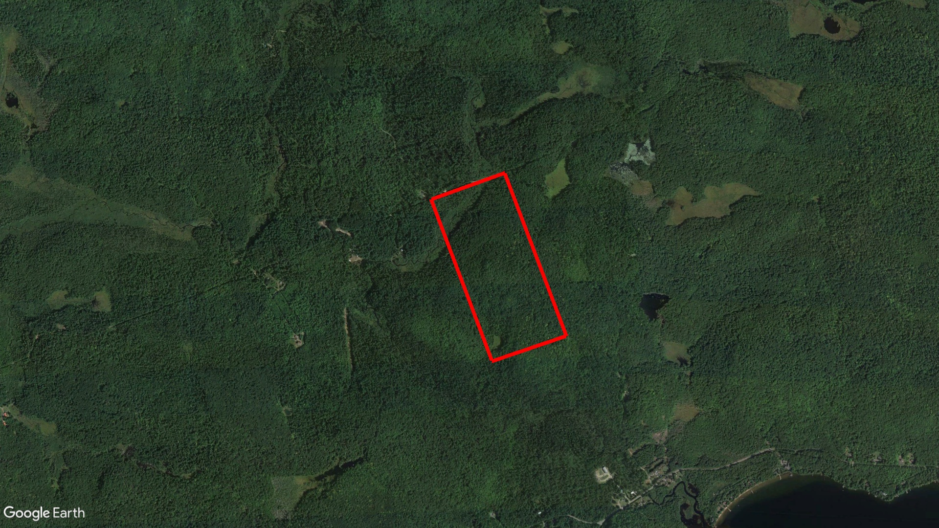 Tax Sale Huntsville, Ontario -  44 42 060 005 05200 0000