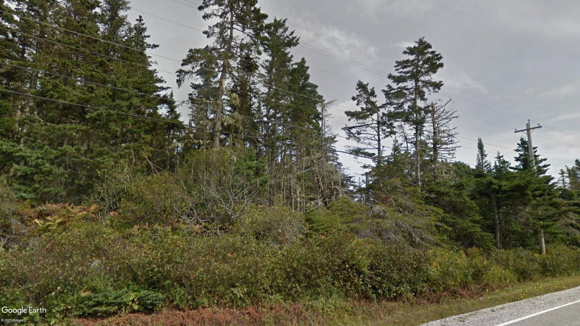 Tax Sale Barrington, Nova Scotia - 08416478