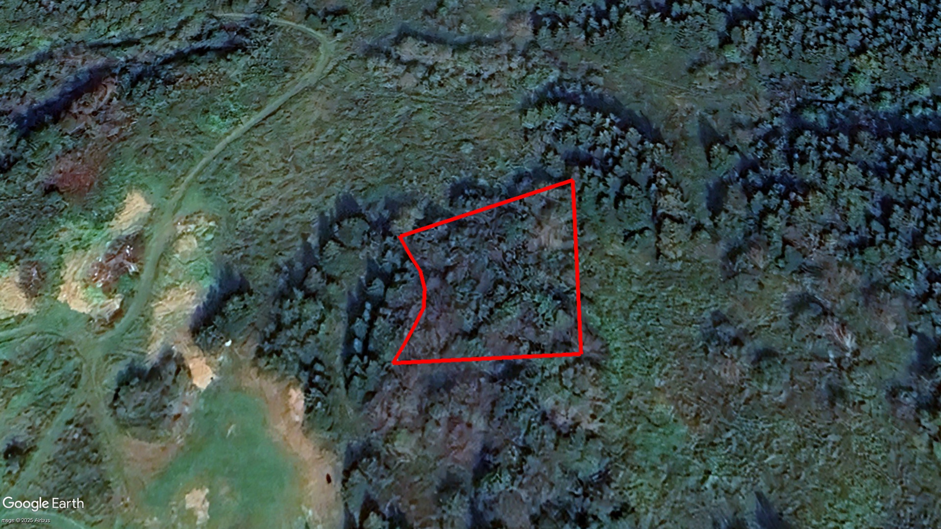 Tax Sale Cape Breton, Nova Scotia - 10301181