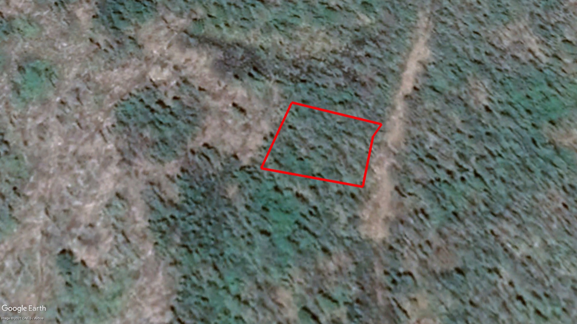 Tax Sale Chester, Nova Scotia - 02554216