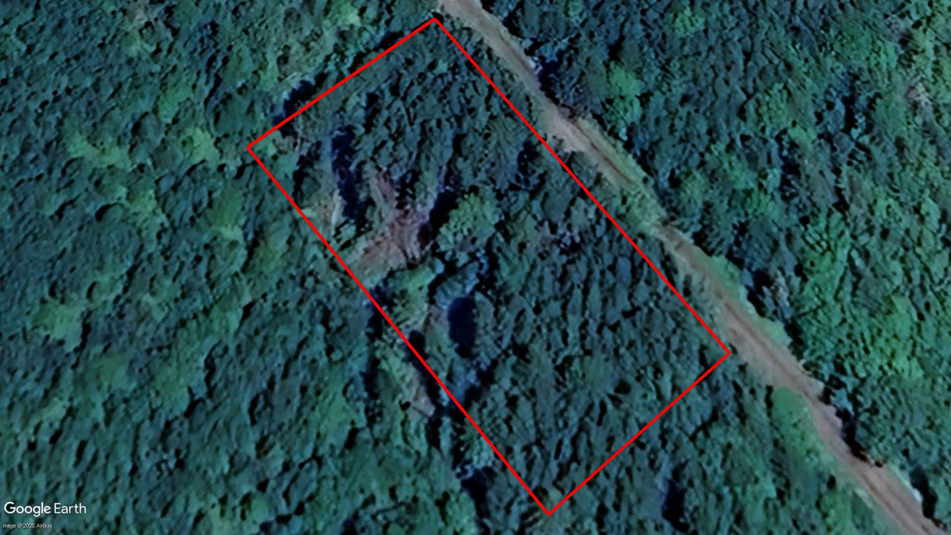 Tax Sale Clare, Nova Scotia - 01813374