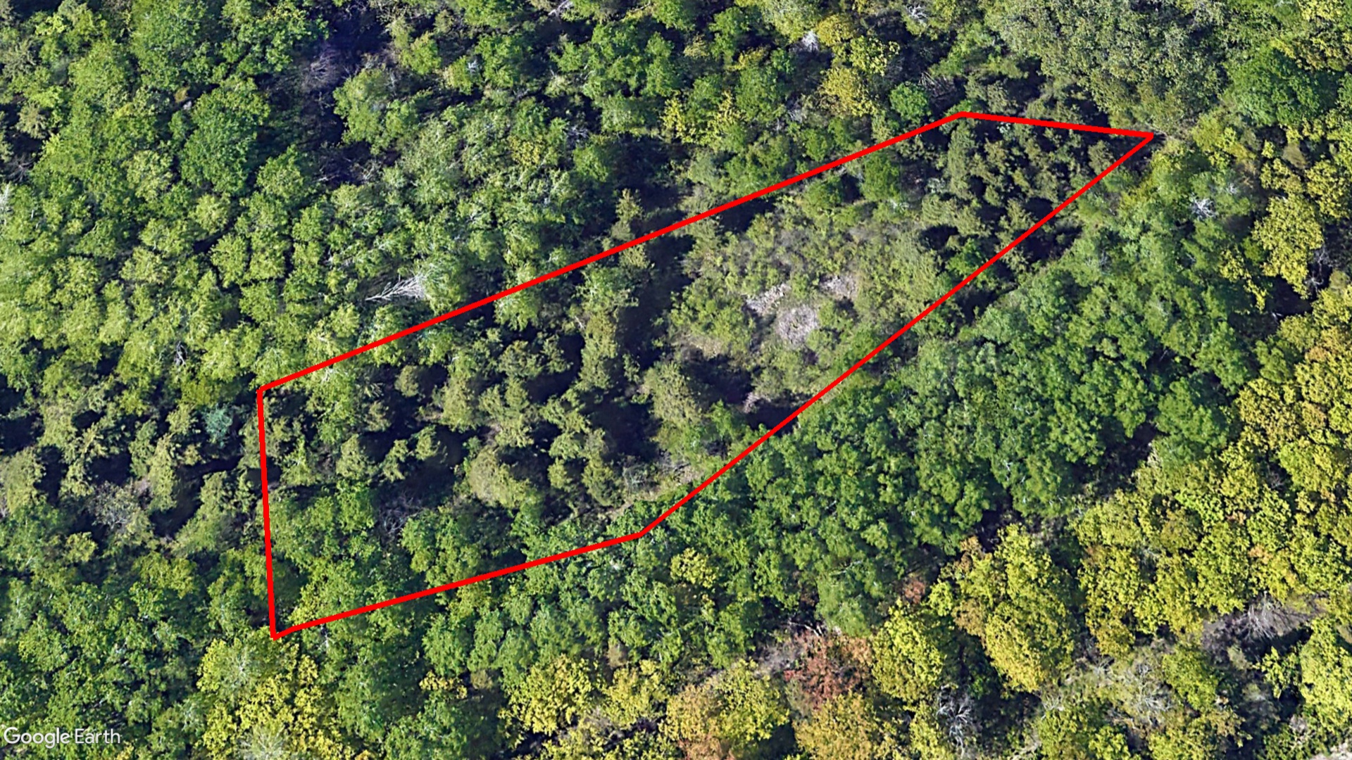 Tax Sale Gloucester, New Brunswick - 06104014