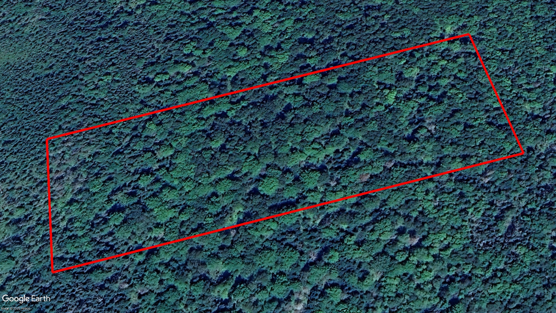 Tax Sale Lunenburg, Nova Scotia - 10666724