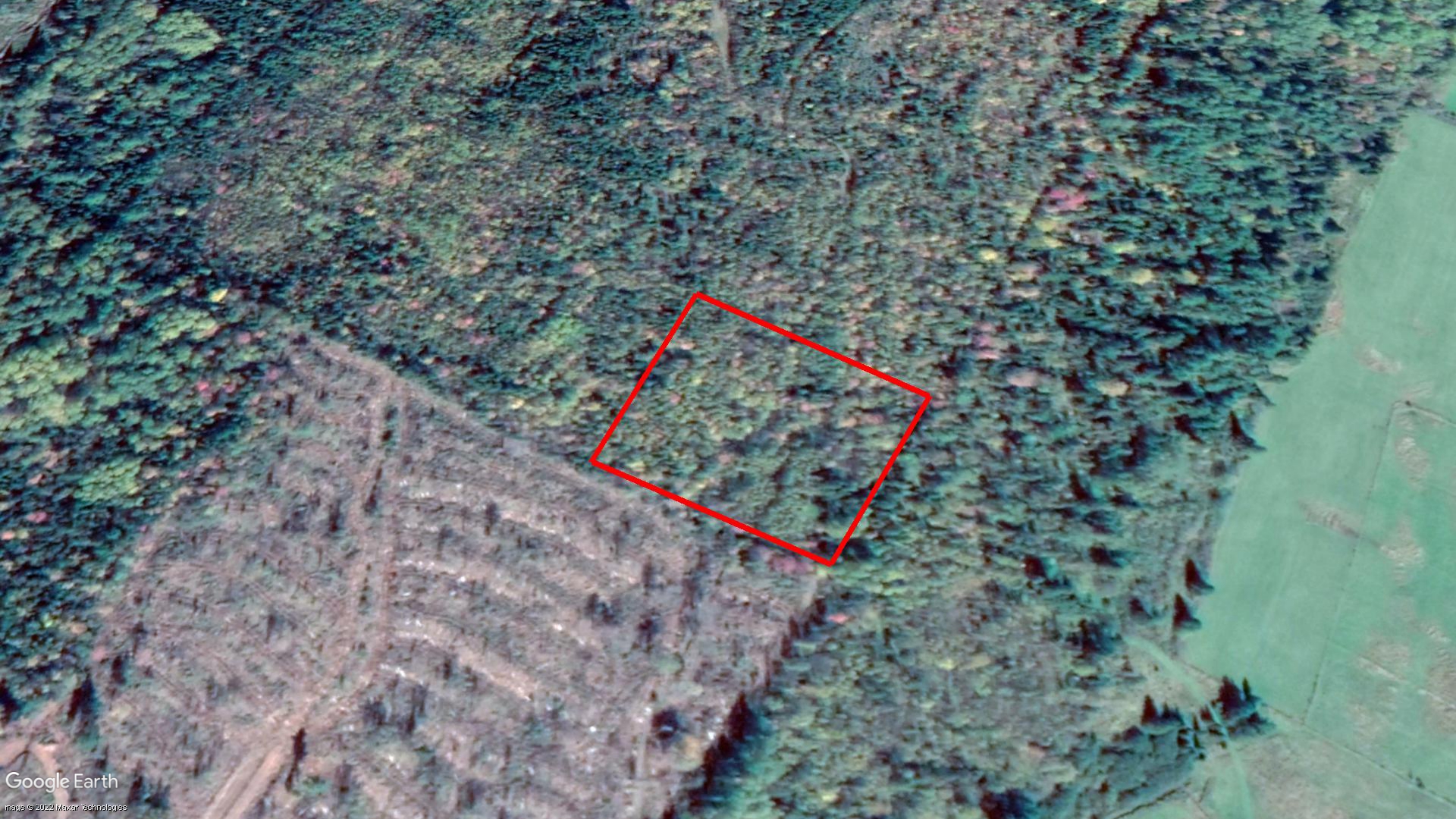 Tax Sale Kings, New Brunswick - 03969944